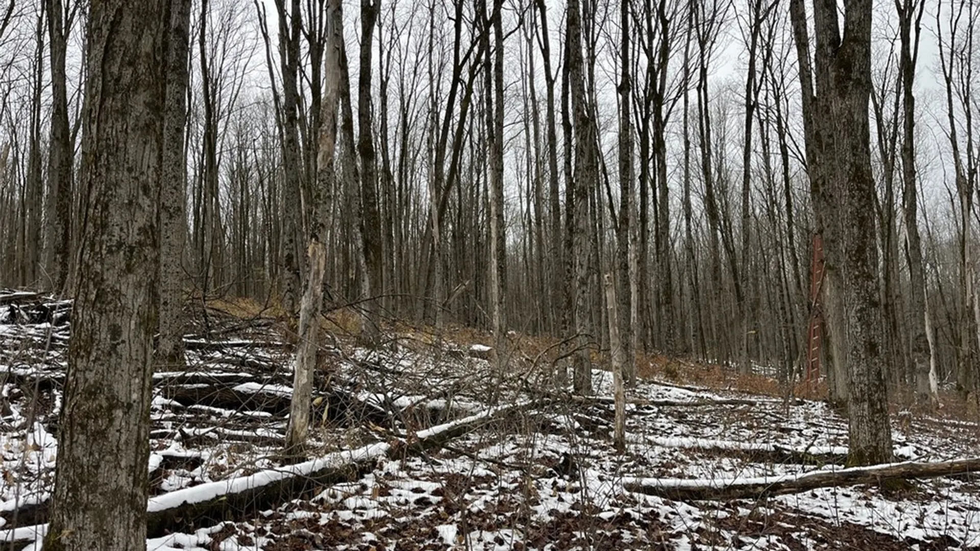 Property at Jersey Hill Road, Birdsall, NY 14822 10