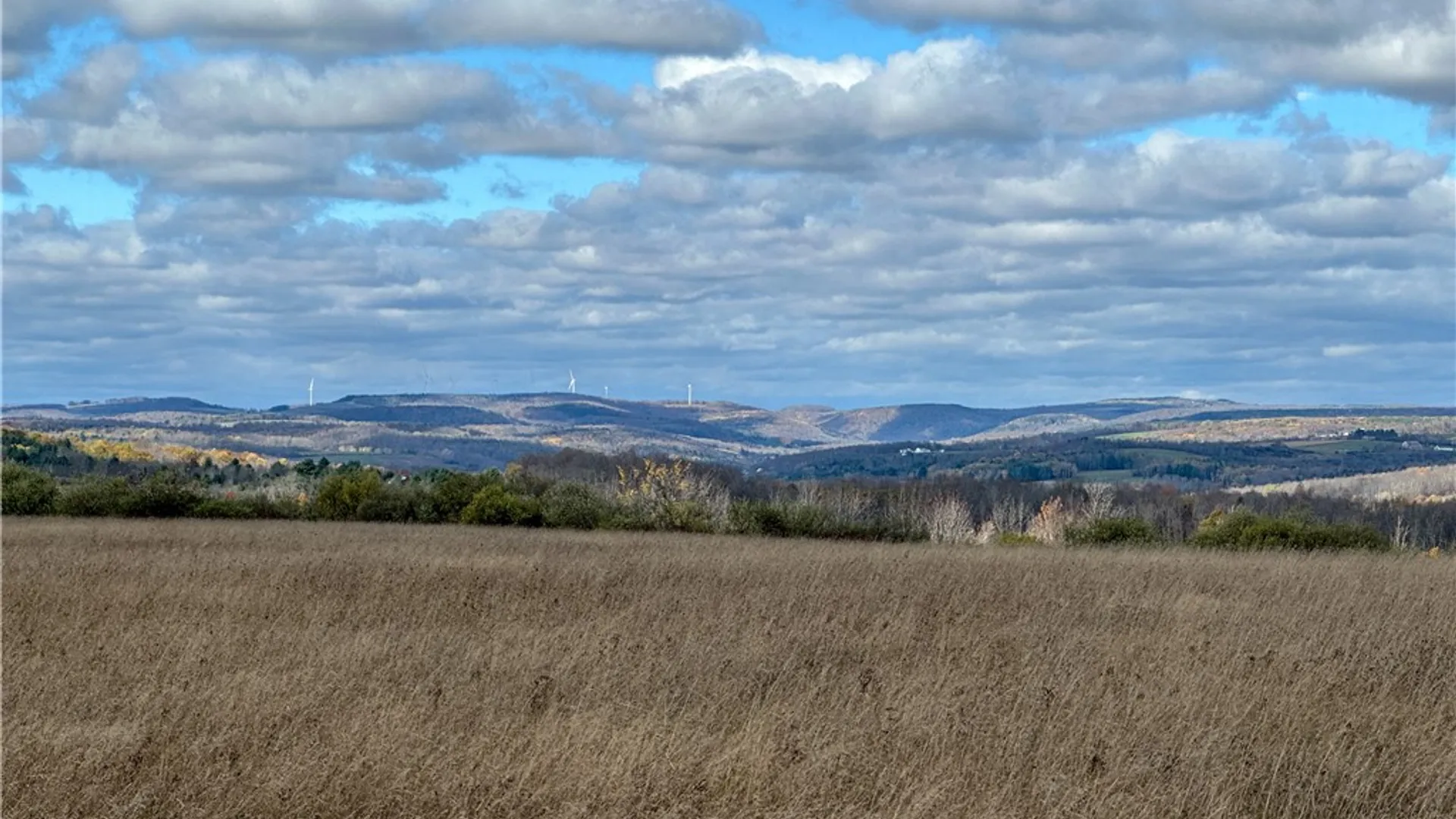 Property at VL Lot 1 Williams Road, Rathbone, NY 14801 3