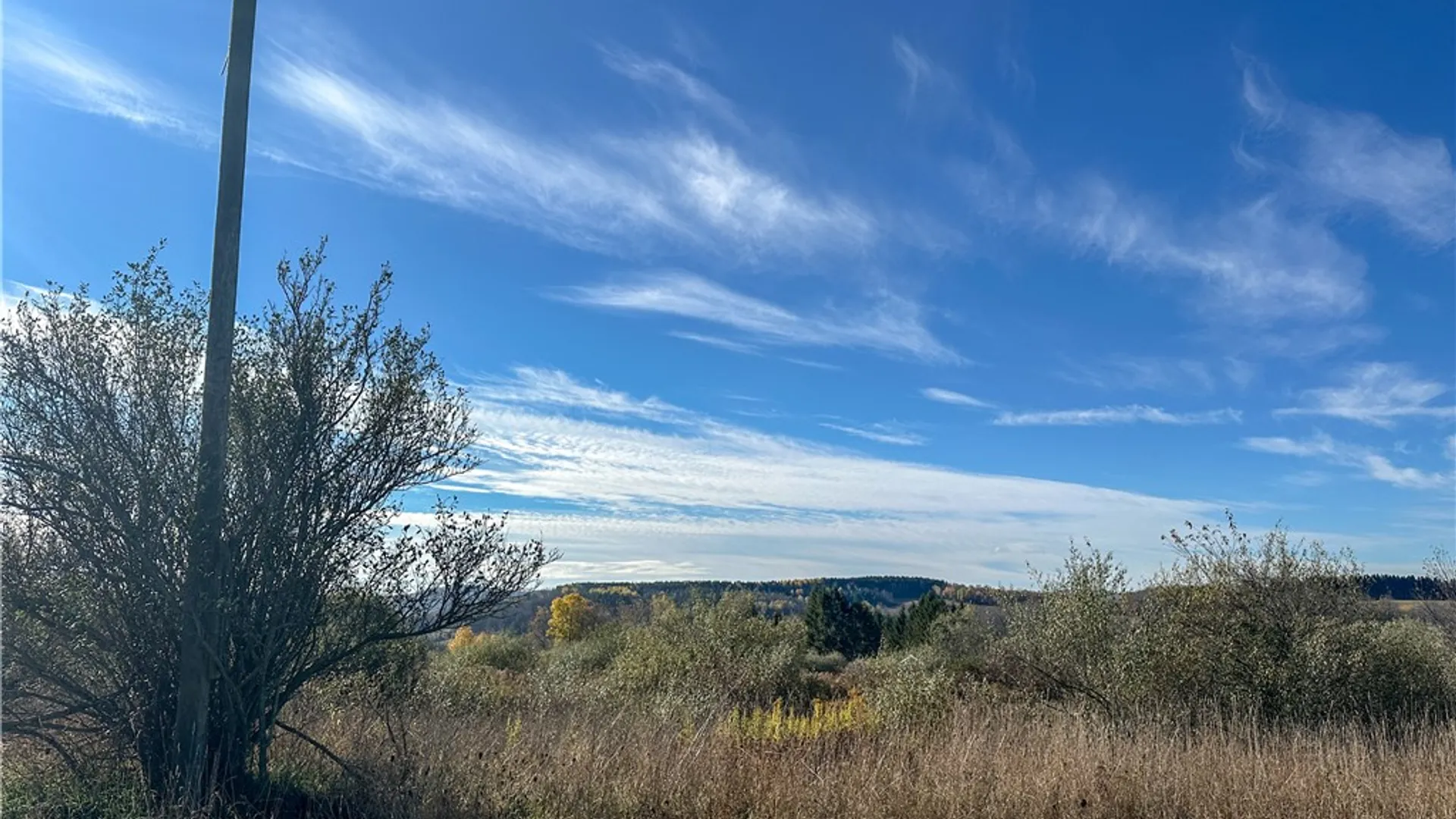Property at VL Lot 1 Williams Road, Rathbone, NY 14801 4