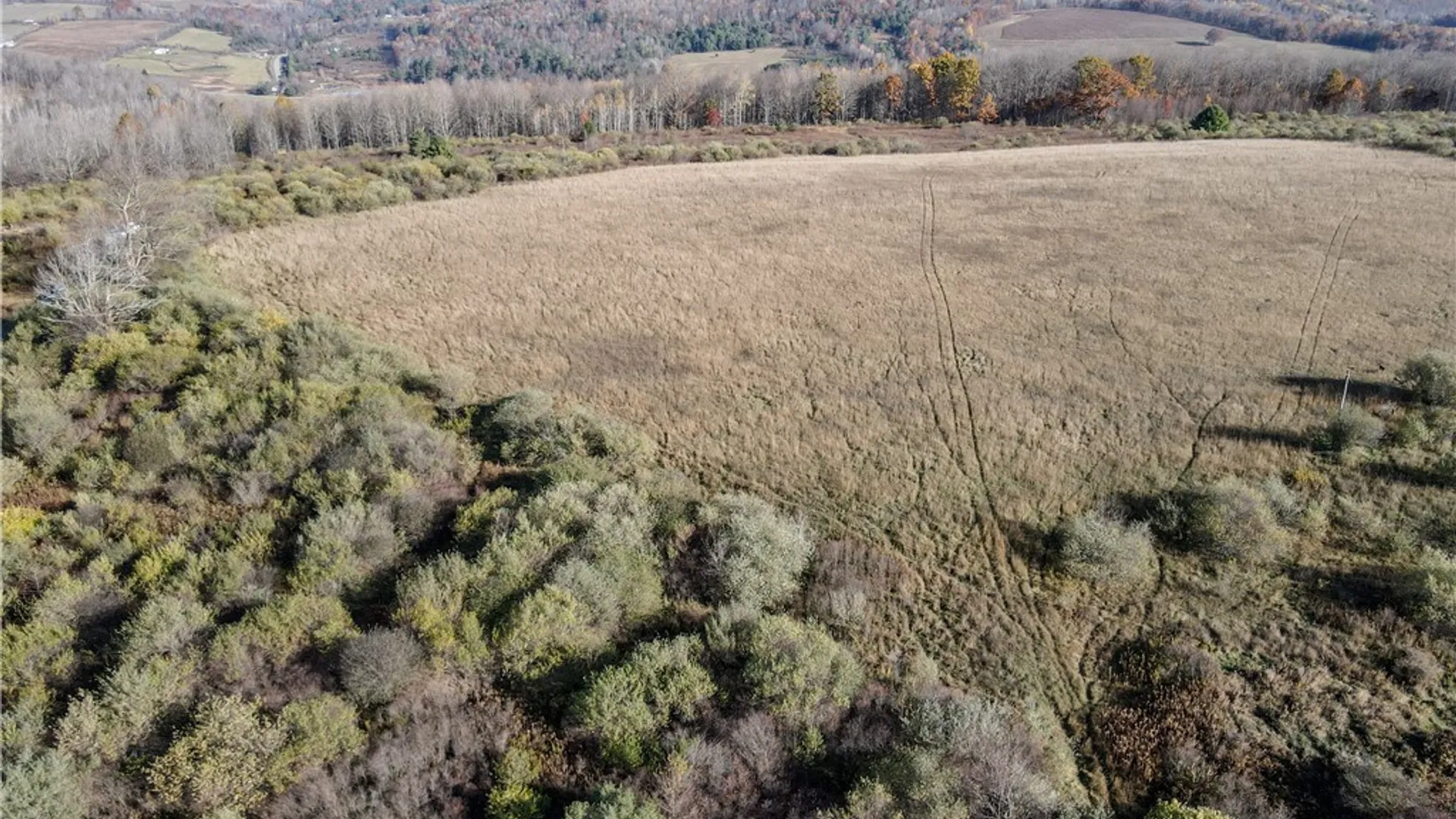 Property at VL Lot 1 Williams Road, Rathbone, NY 14801 8