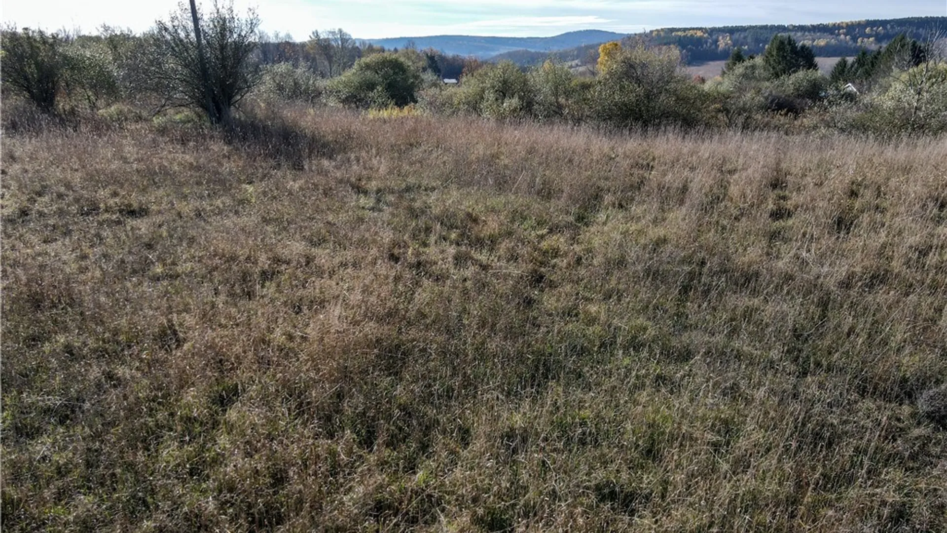 Property at VL Lot 1 Williams Road, Rathbone, NY 14801 10