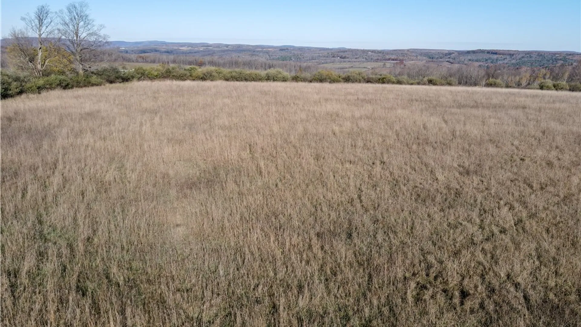 Property at VL Lot 1 Williams Road, Rathbone, NY 14801 11