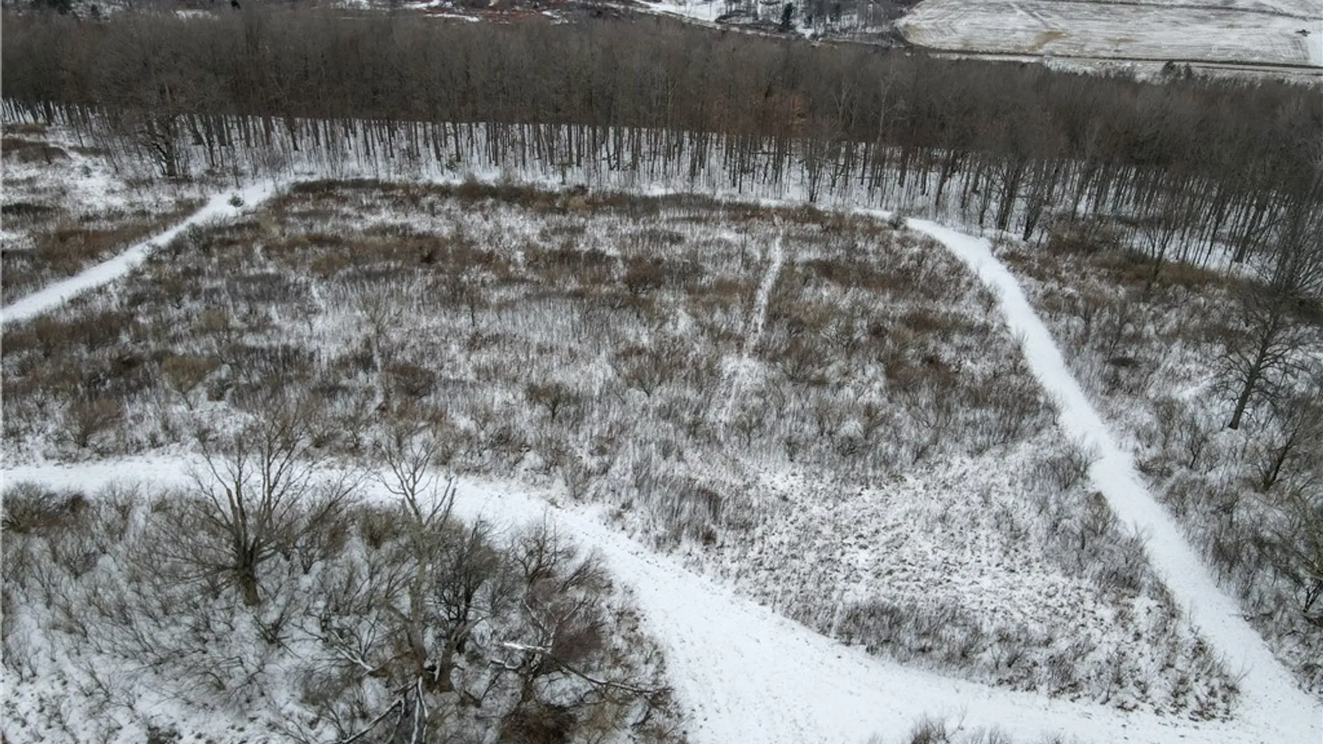 Property at VL Lot 2 Williams Road, Rathbone, NY 14801 19