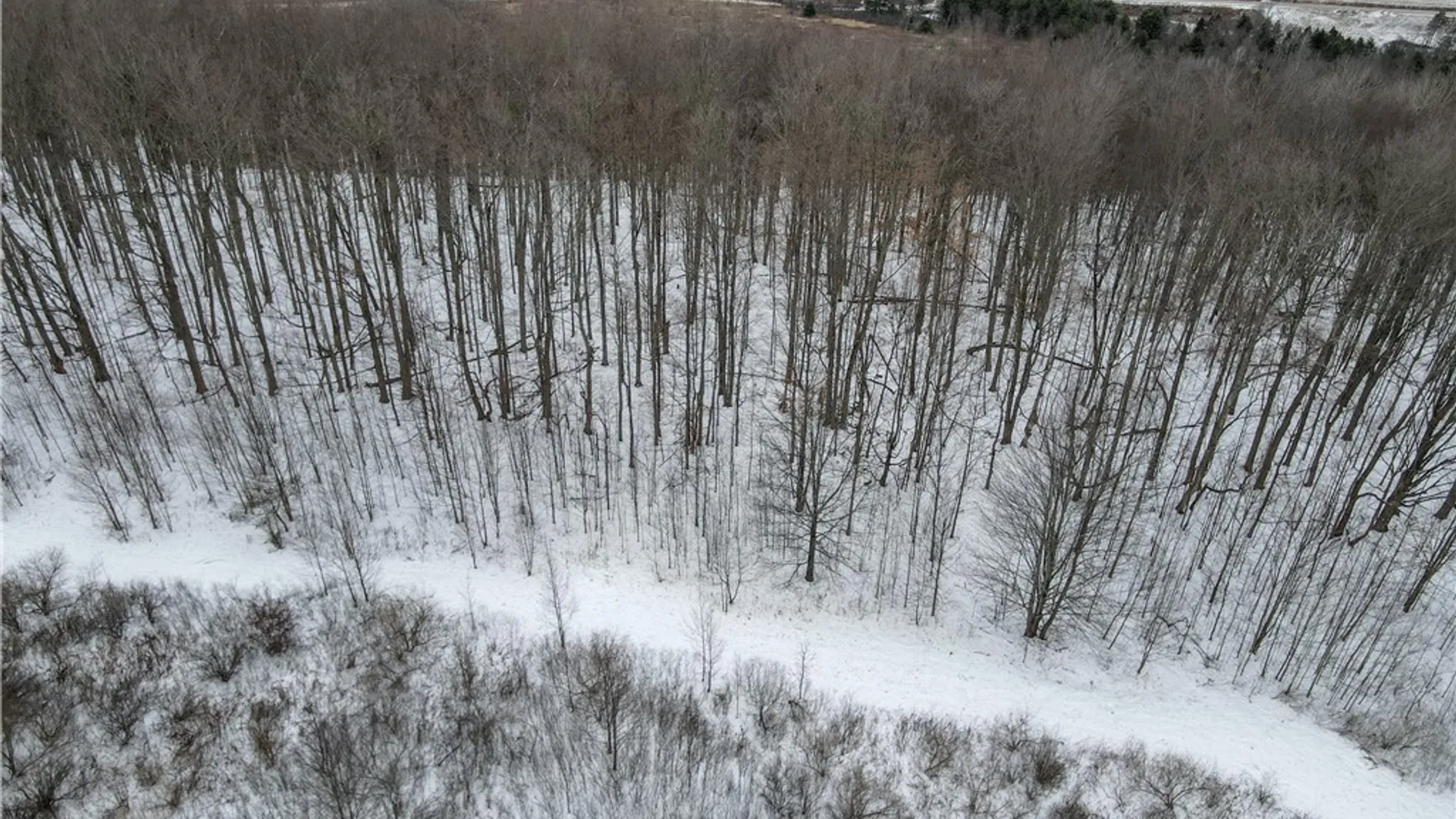 Property at VL Lot 2 Williams Road, Rathbone, NY 14801 20