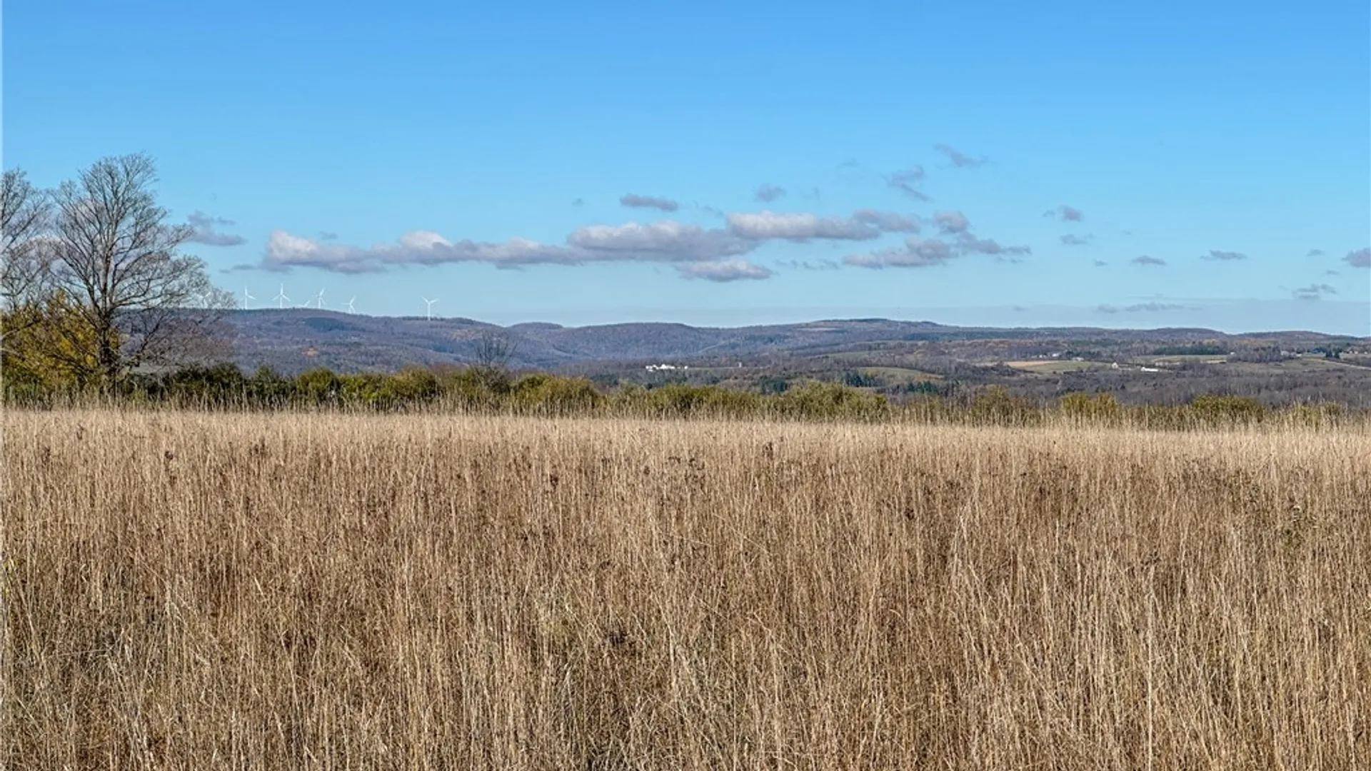 Property at VL Lot 2 Williams Road, Rathbone, NY 14801 21