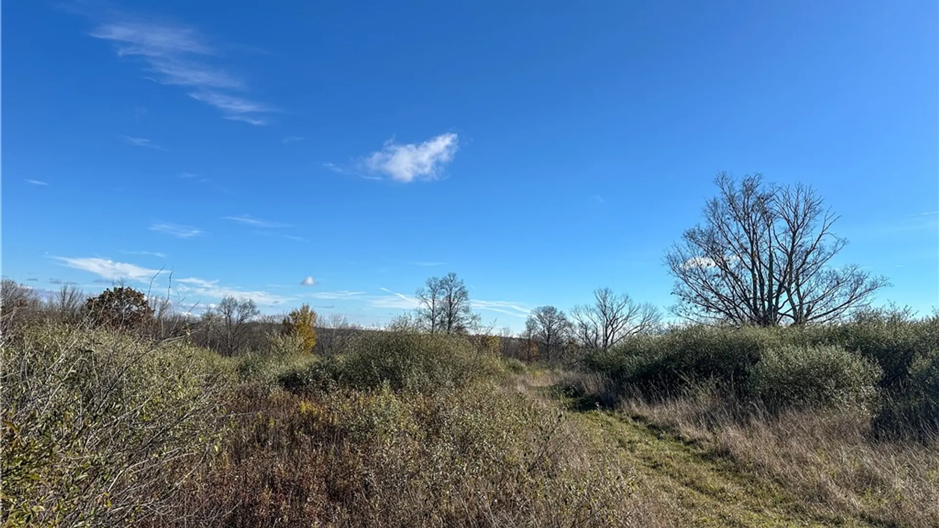 Property at VL Lot 2 Williams Road, Rathbone, NY 14801 23