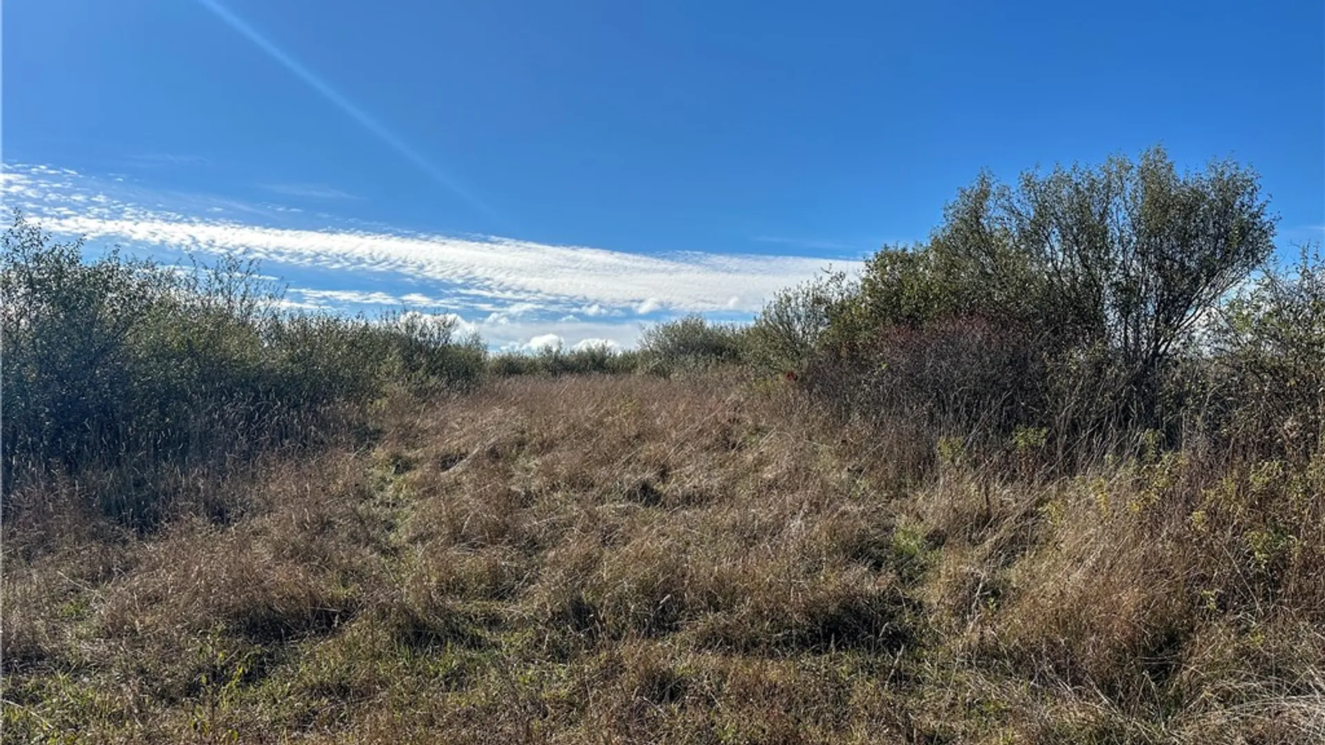 Property at VL Lot 2 Williams Road, Rathbone, NY 14801 24