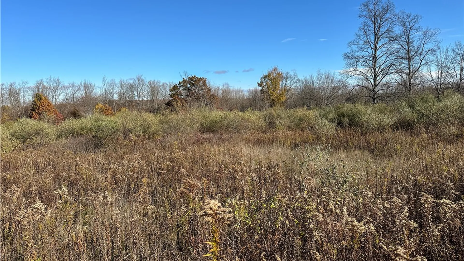 Property at VL Lot 2 Williams Road, Rathbone, NY 14801 25