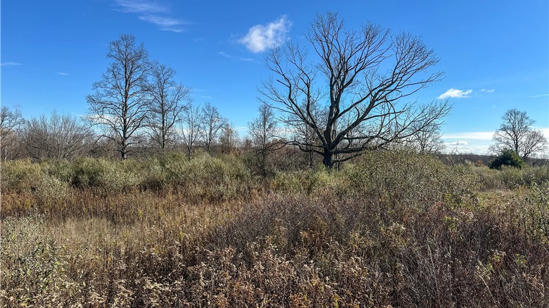 Property at VL Lot 2 Williams Road, Rathbone, NY 14801 26