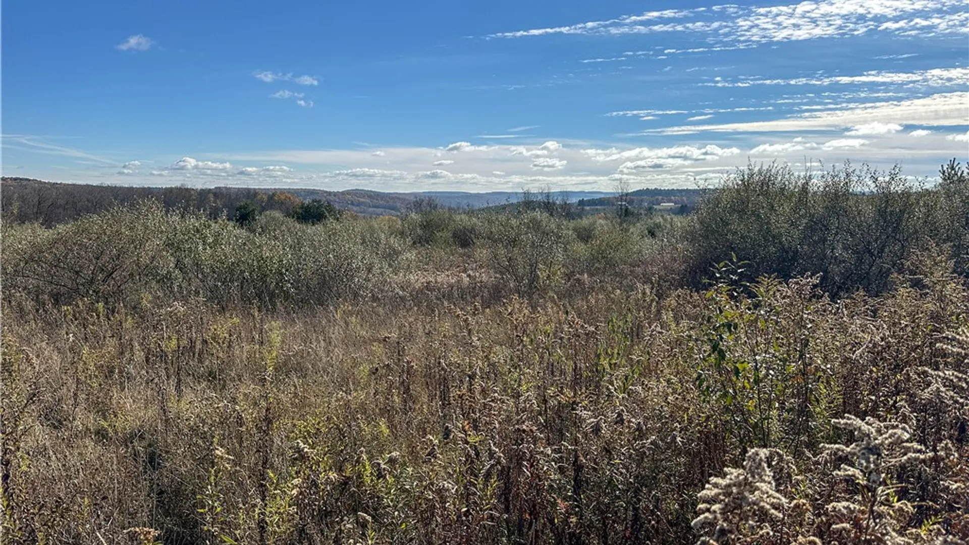 Property at VL Lot 2 Williams Road, Rathbone, NY 14801 27