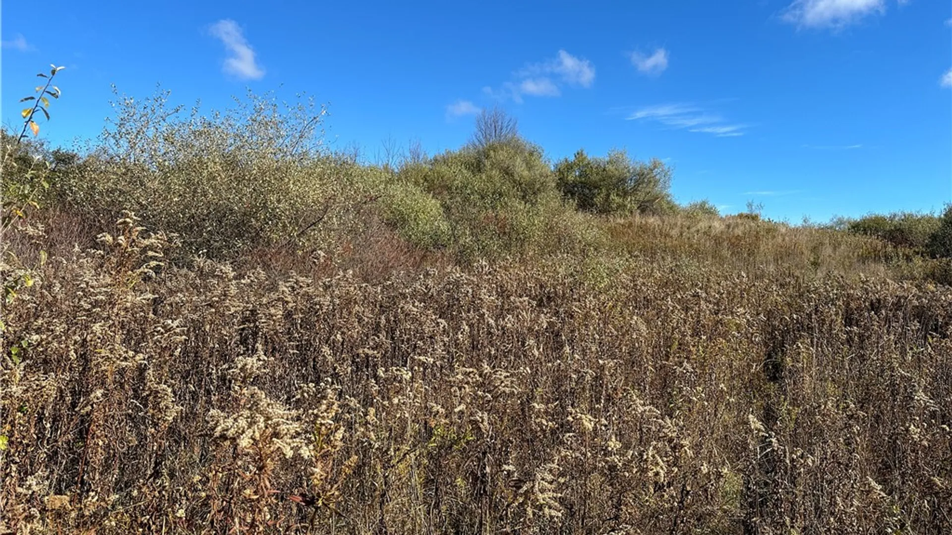Property at VL Lot 2 Williams Road, Rathbone, NY 14801 29