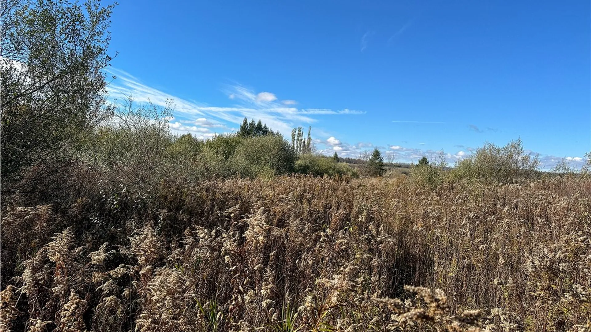 Property at VL Lot 2 Williams Road, Rathbone, NY 14801 30