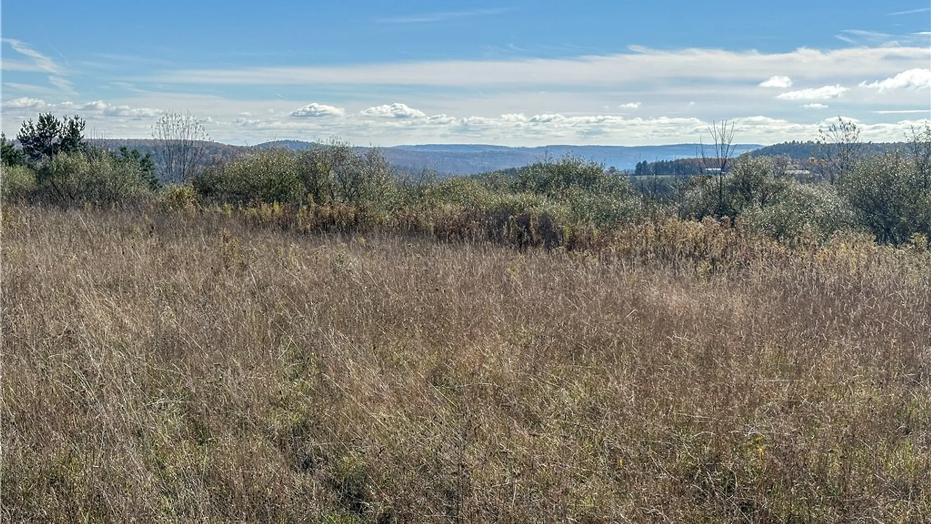 Property at VL Lot 2 Williams Road, Rathbone, NY 14801 4