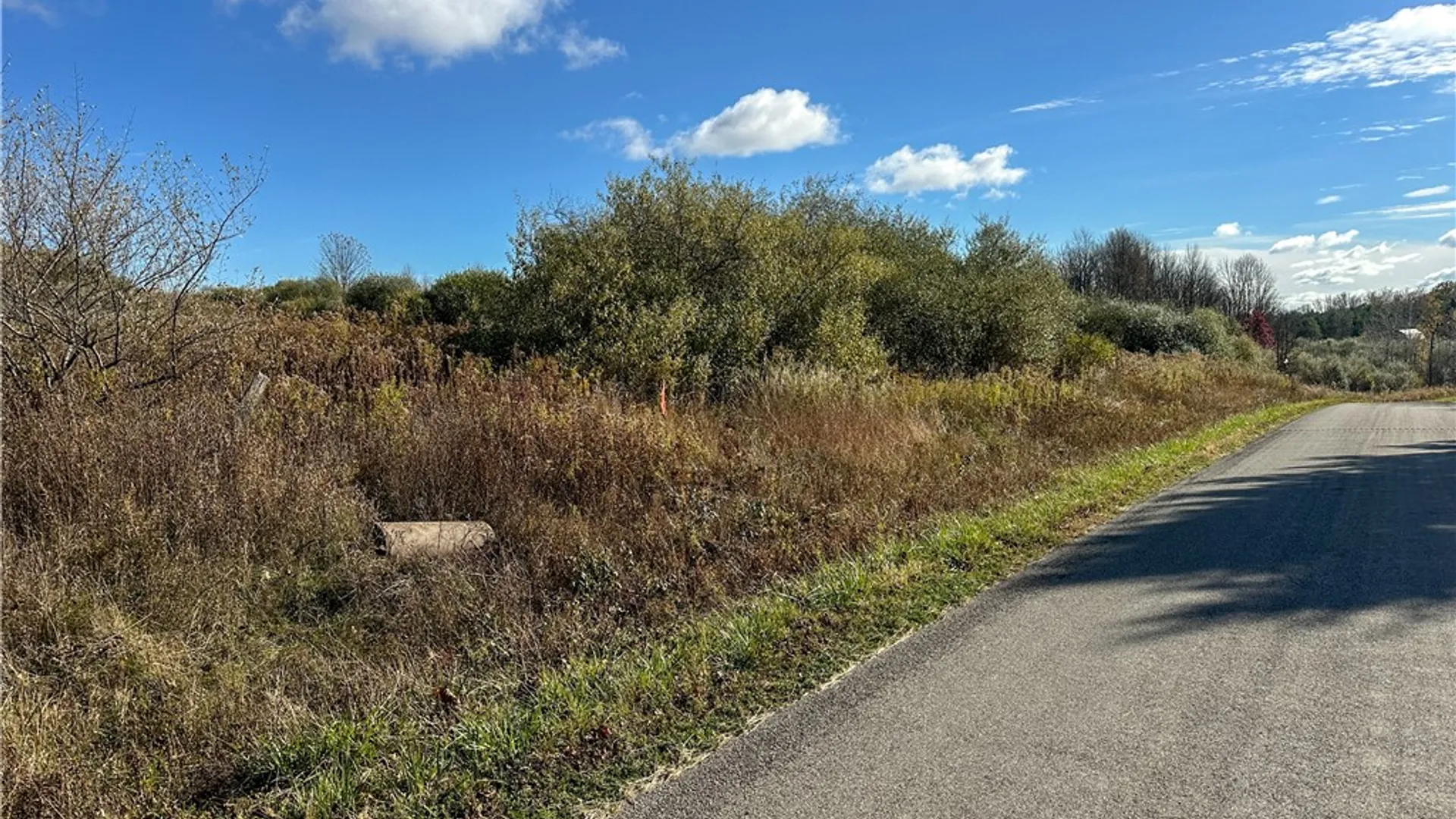 Property at VL Lot 2 Williams Road, Rathbone, NY 14801 6