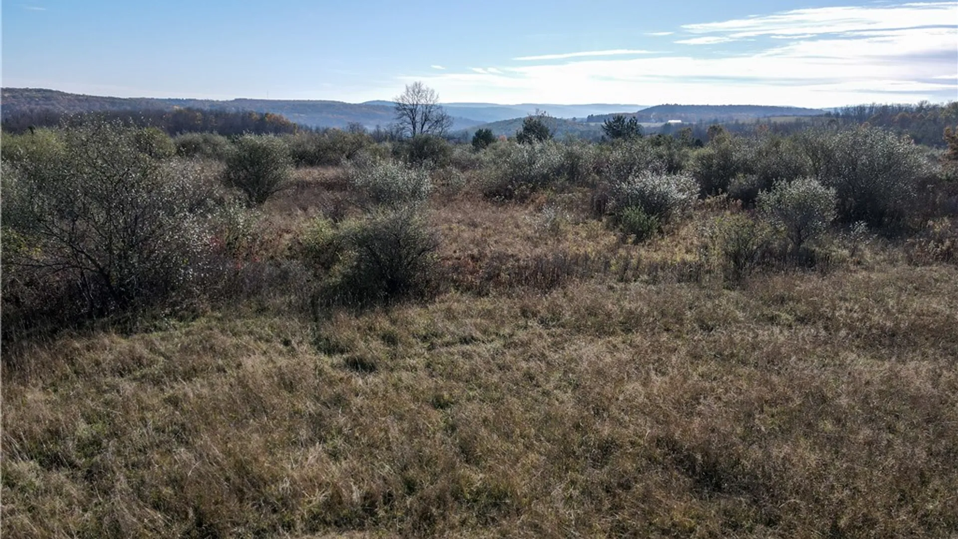 Property at VL Lot 2 Williams Road, Rathbone, NY 14801 8
