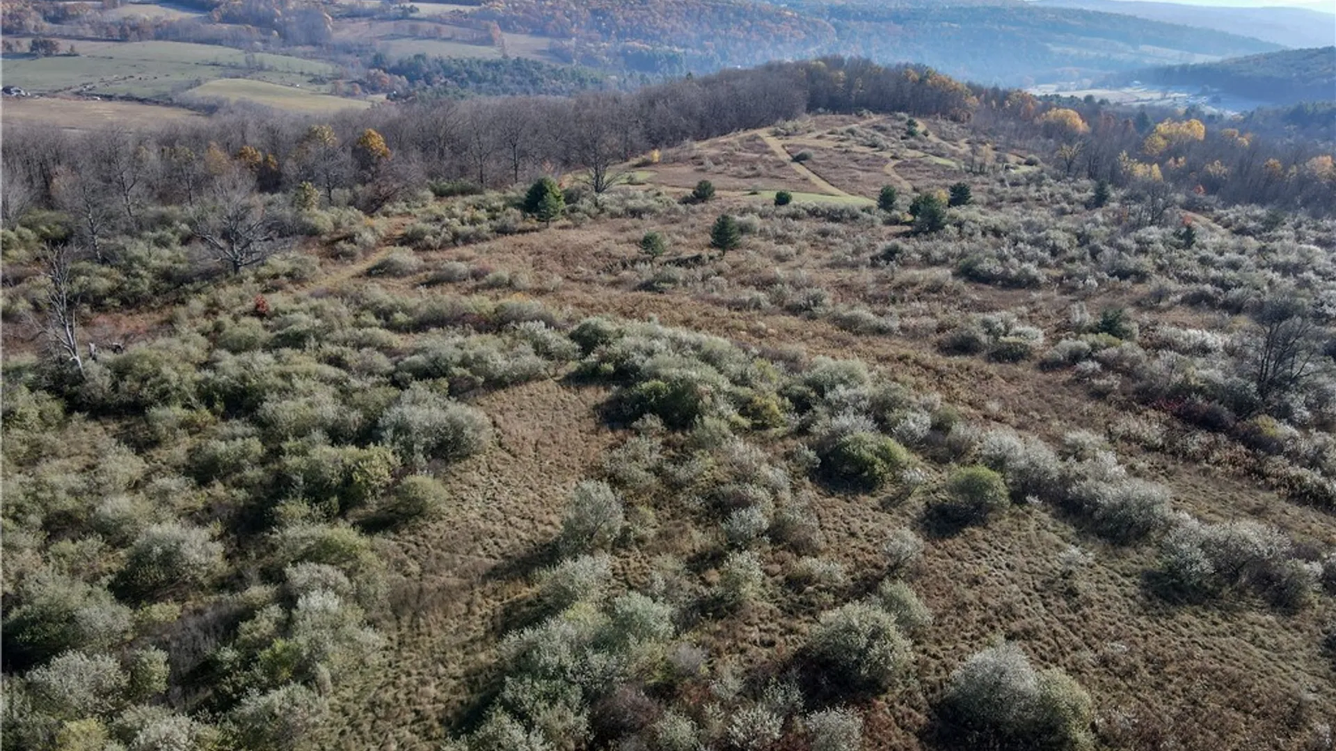 Property at VL Lot 2 Williams Road, Rathbone, NY 14801 9