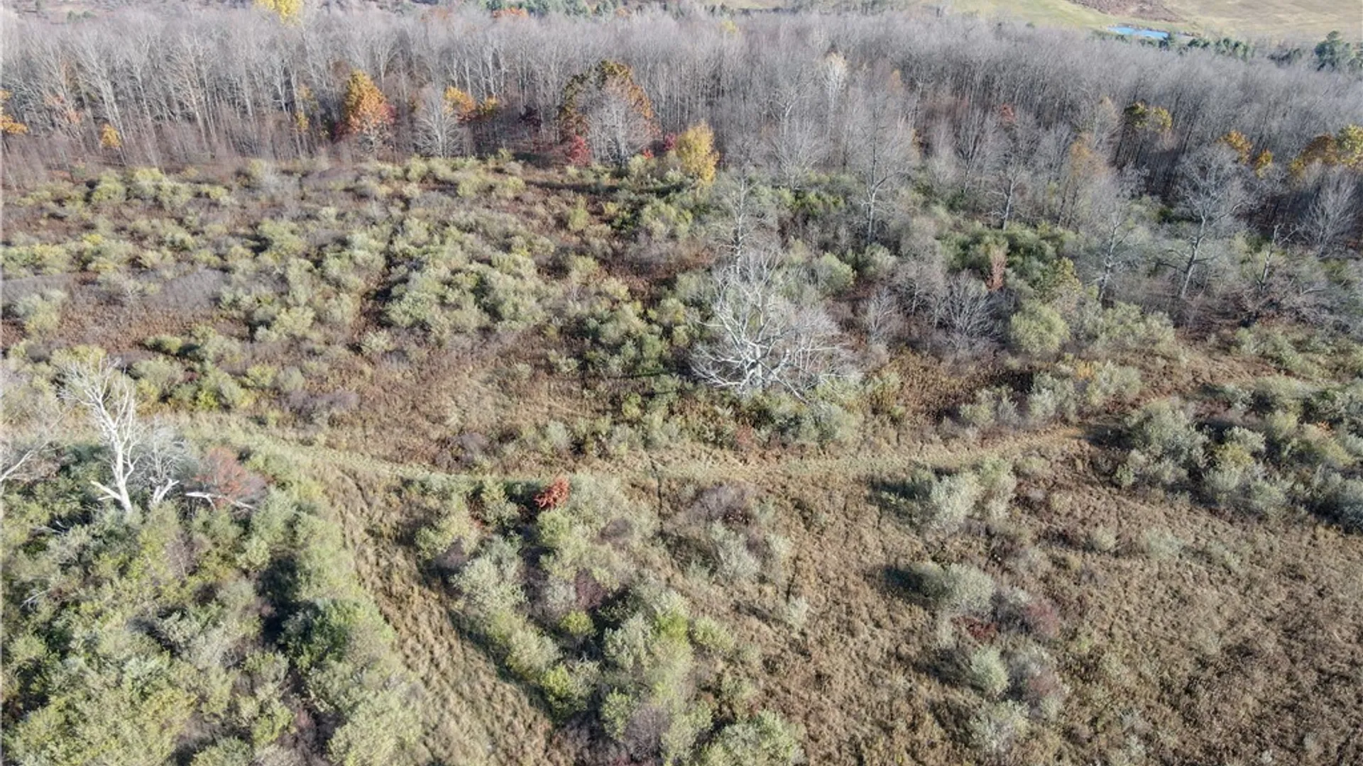 Property at VL Lot 2 Williams Road, Rathbone, NY 14801 10