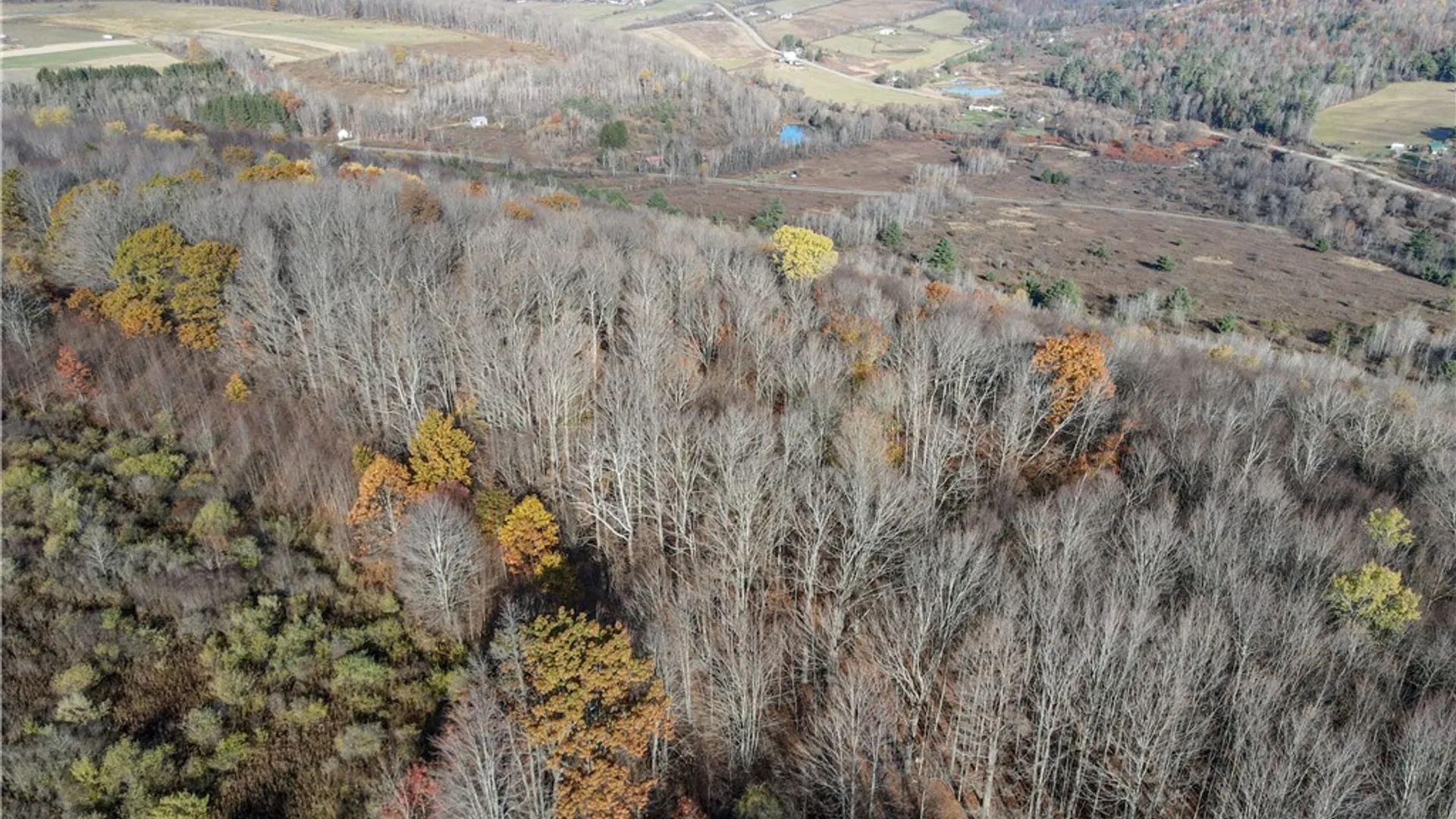 Property at VL Lot 2 Williams Road, Rathbone, NY 14801 11