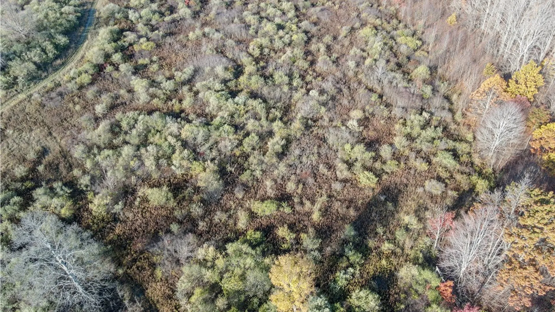 Property at VL Lot 2 Williams Road, Rathbone, NY 14801 12