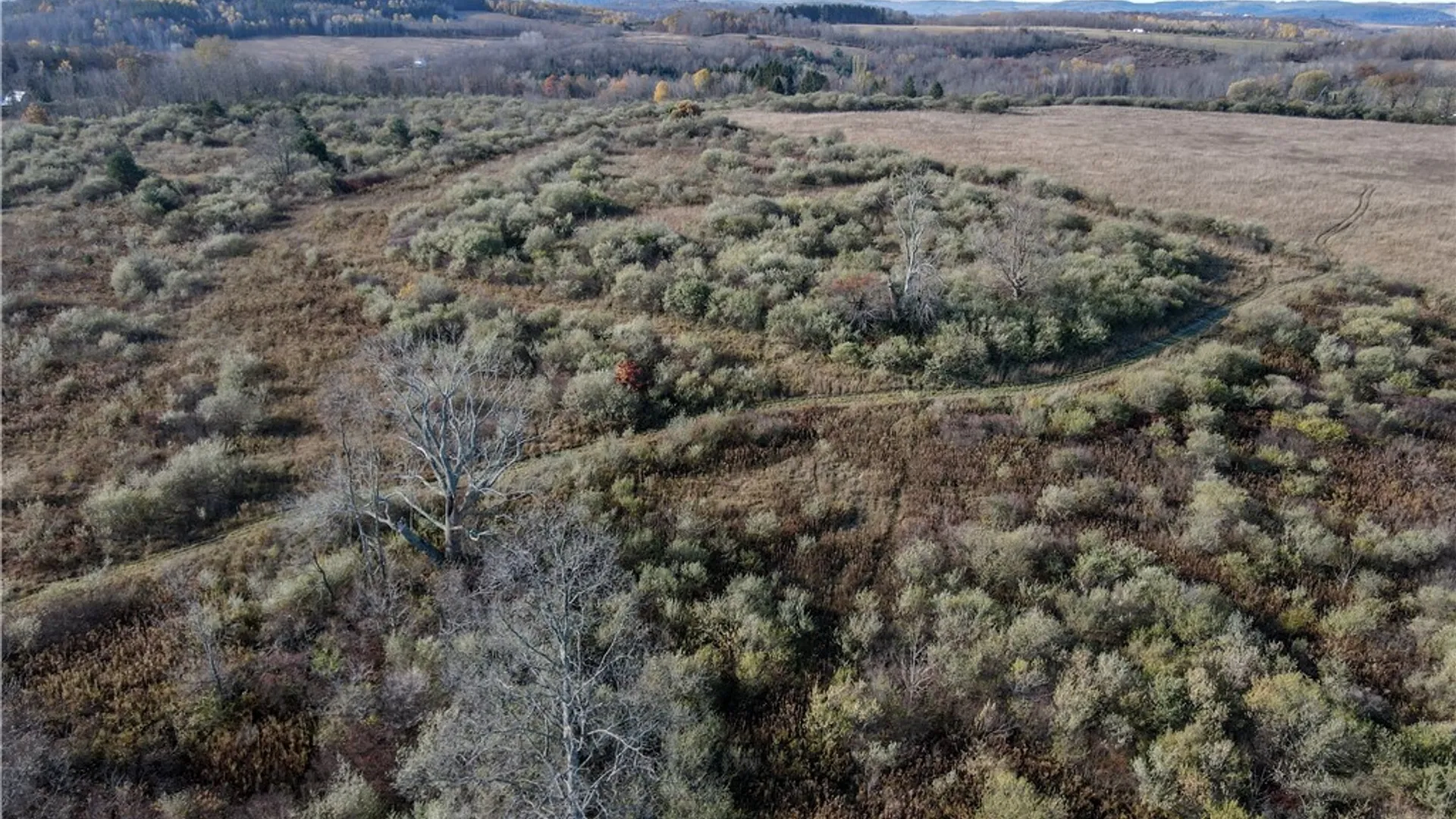 Property at VL Lot 2 Williams Road, Rathbone, NY 14801 13