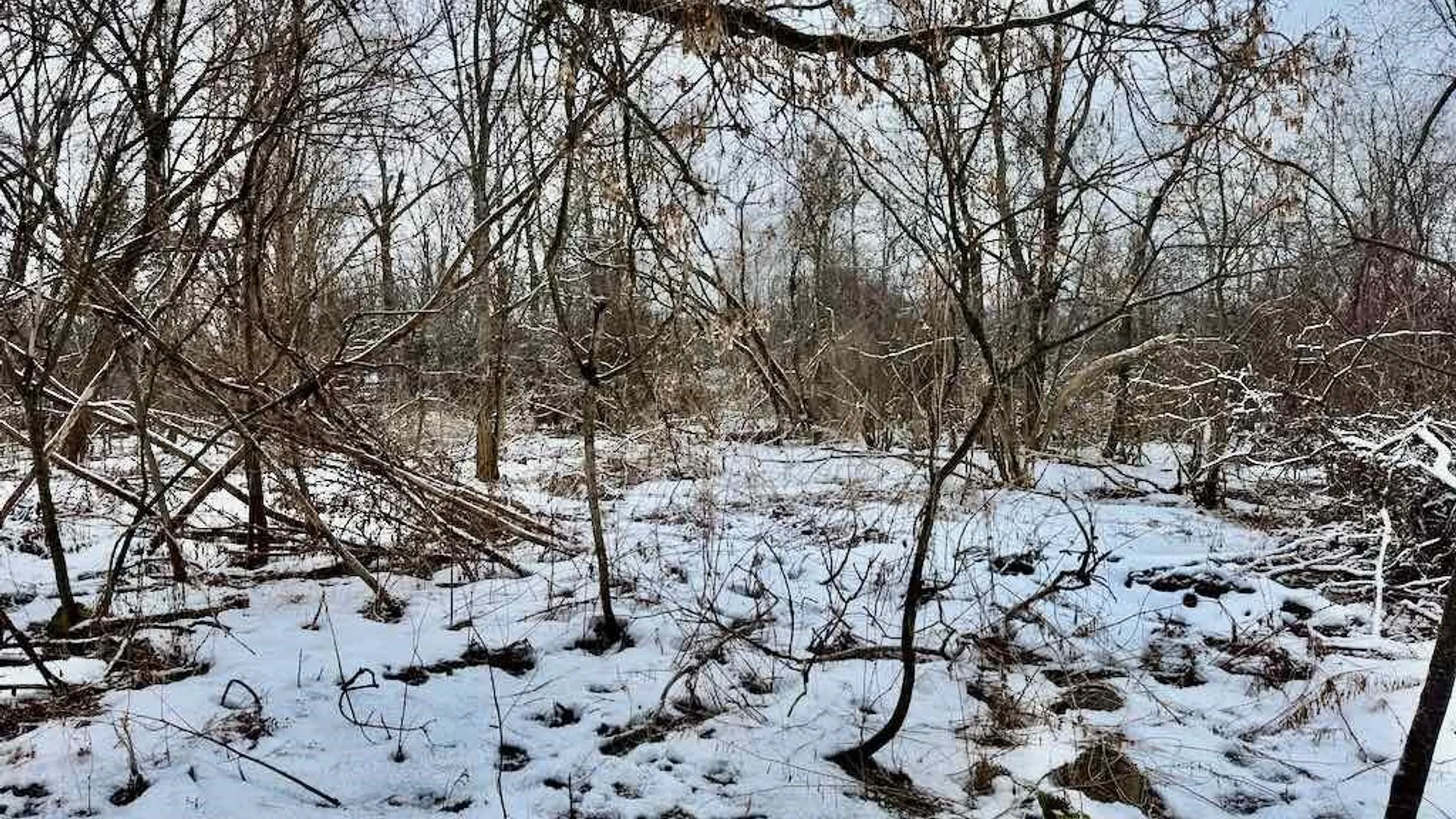 Property at 15590 Co Rt 91, Ellisburg, NY 13636 13