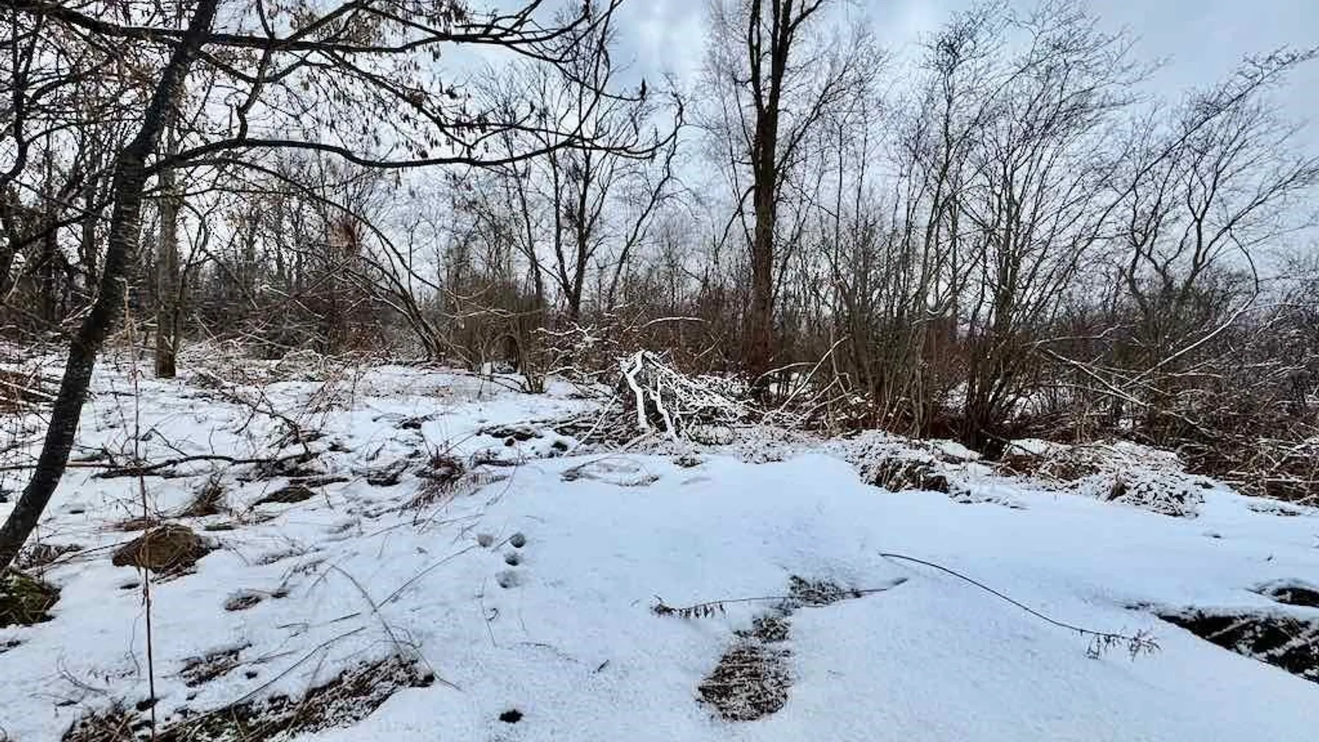 Property at 15590 Co Rt 91, Ellisburg, NY 13636 15