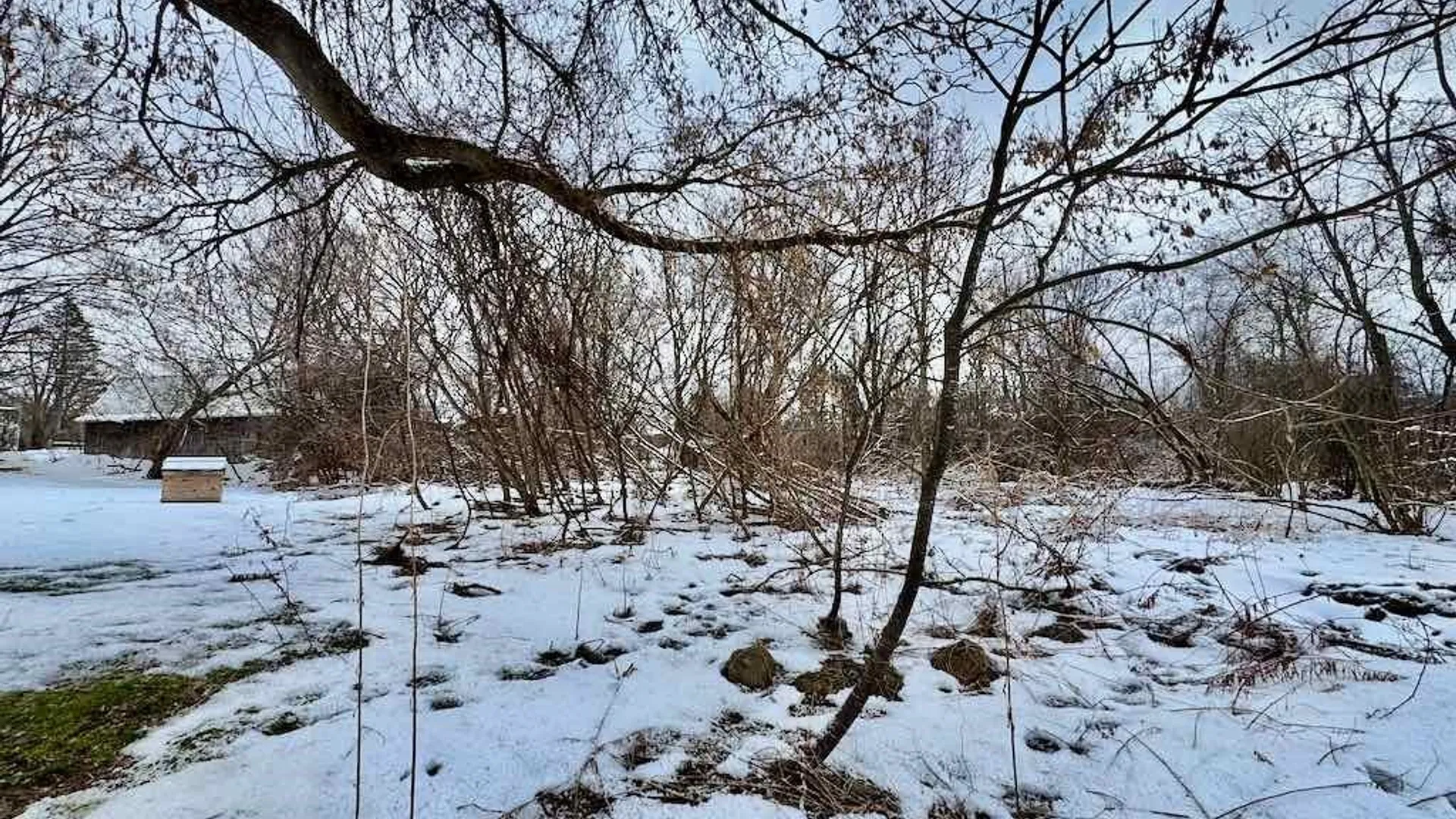 Property at 15590 Co Rt 91, Ellisburg, NY 13636 17