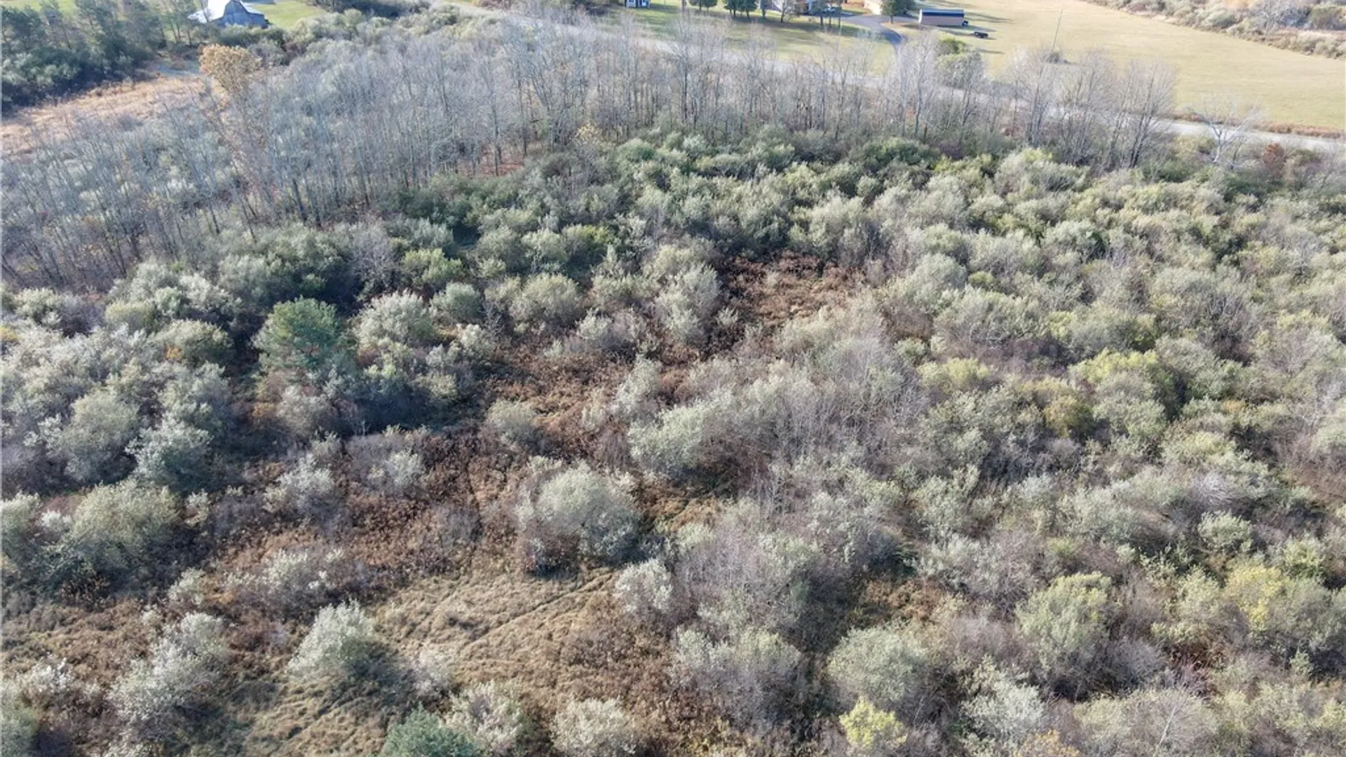 Property at VL Lot 03 Williams Road, Rathbone, NY 14801 20