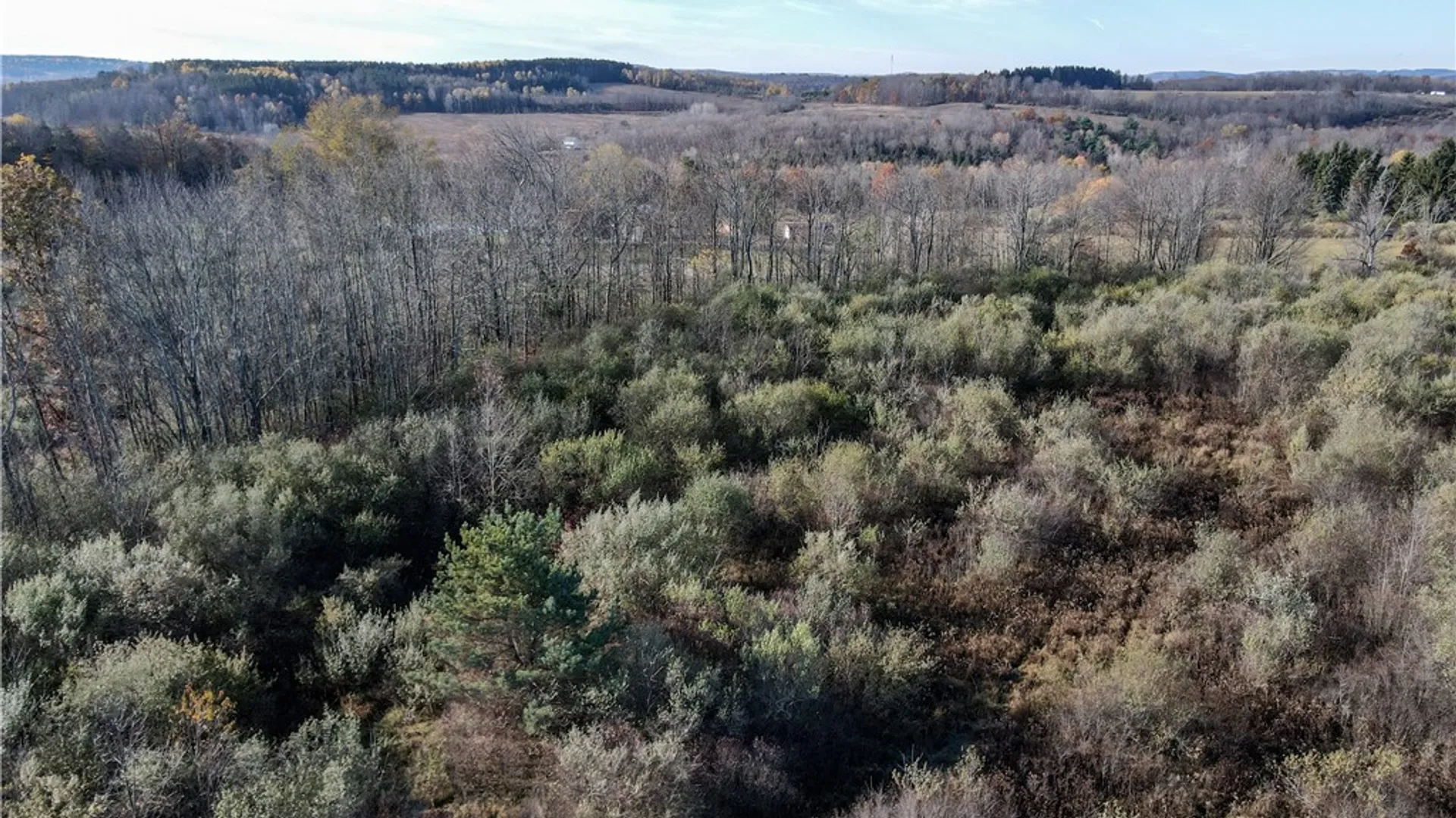 Property at VL Lot 03 Williams Road, Rathbone, NY 14801 21