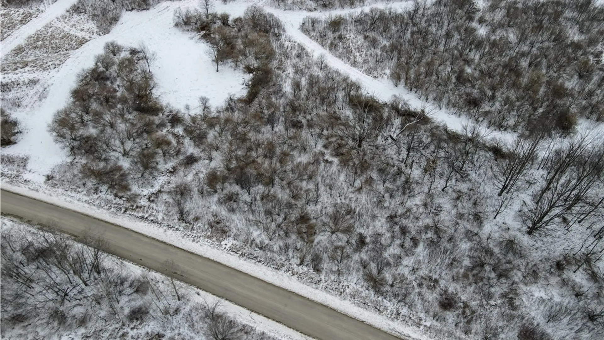 Property at VL Lot 03 Williams Road, Rathbone, NY 14801 23