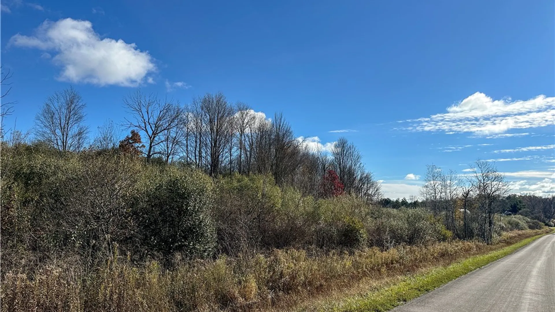 Property at VL Lot 03 Williams Road, Rathbone, NY 14801 3