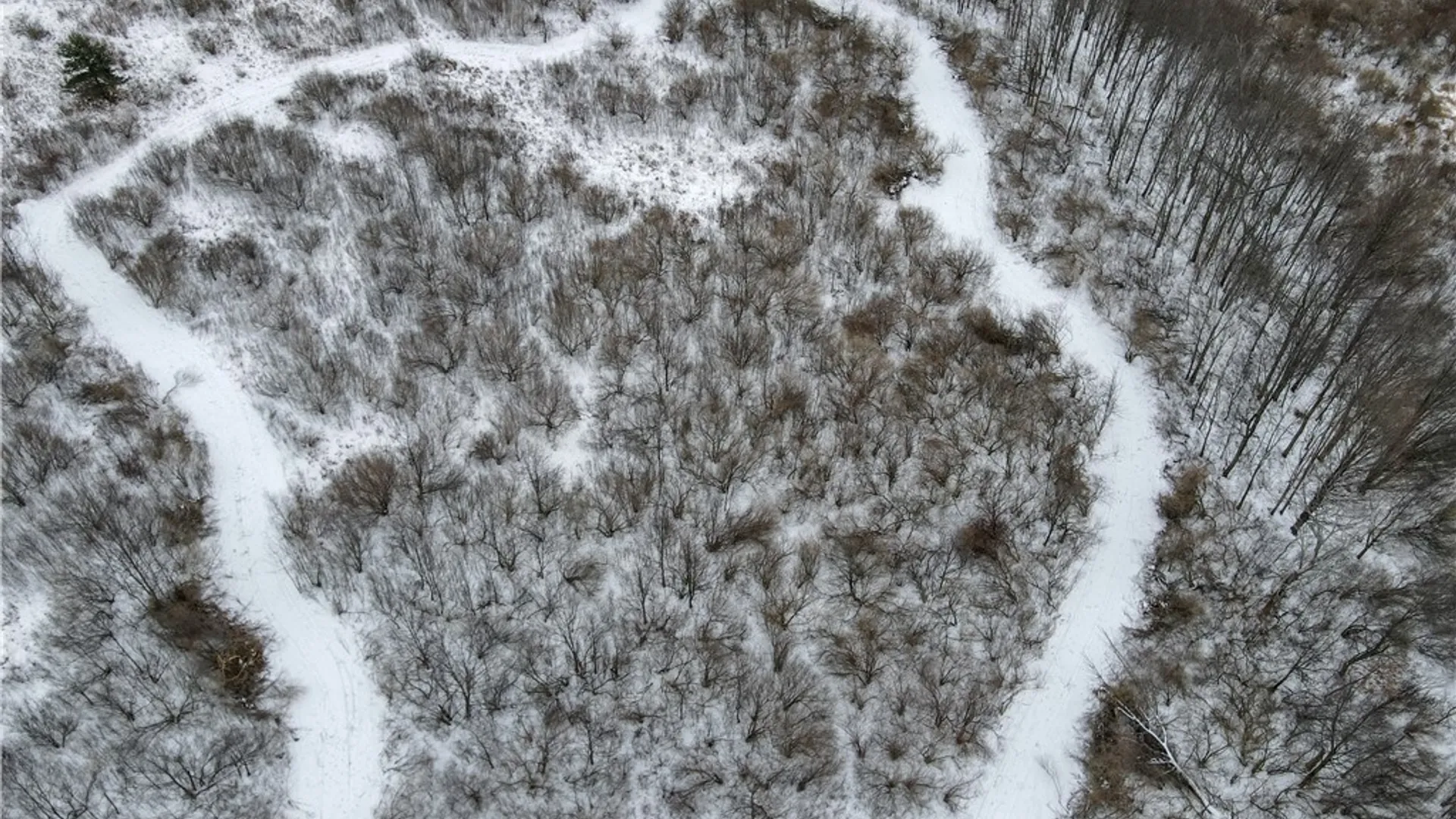 Property at VL Lot 03 Williams Road, Rathbone, NY 14801 5