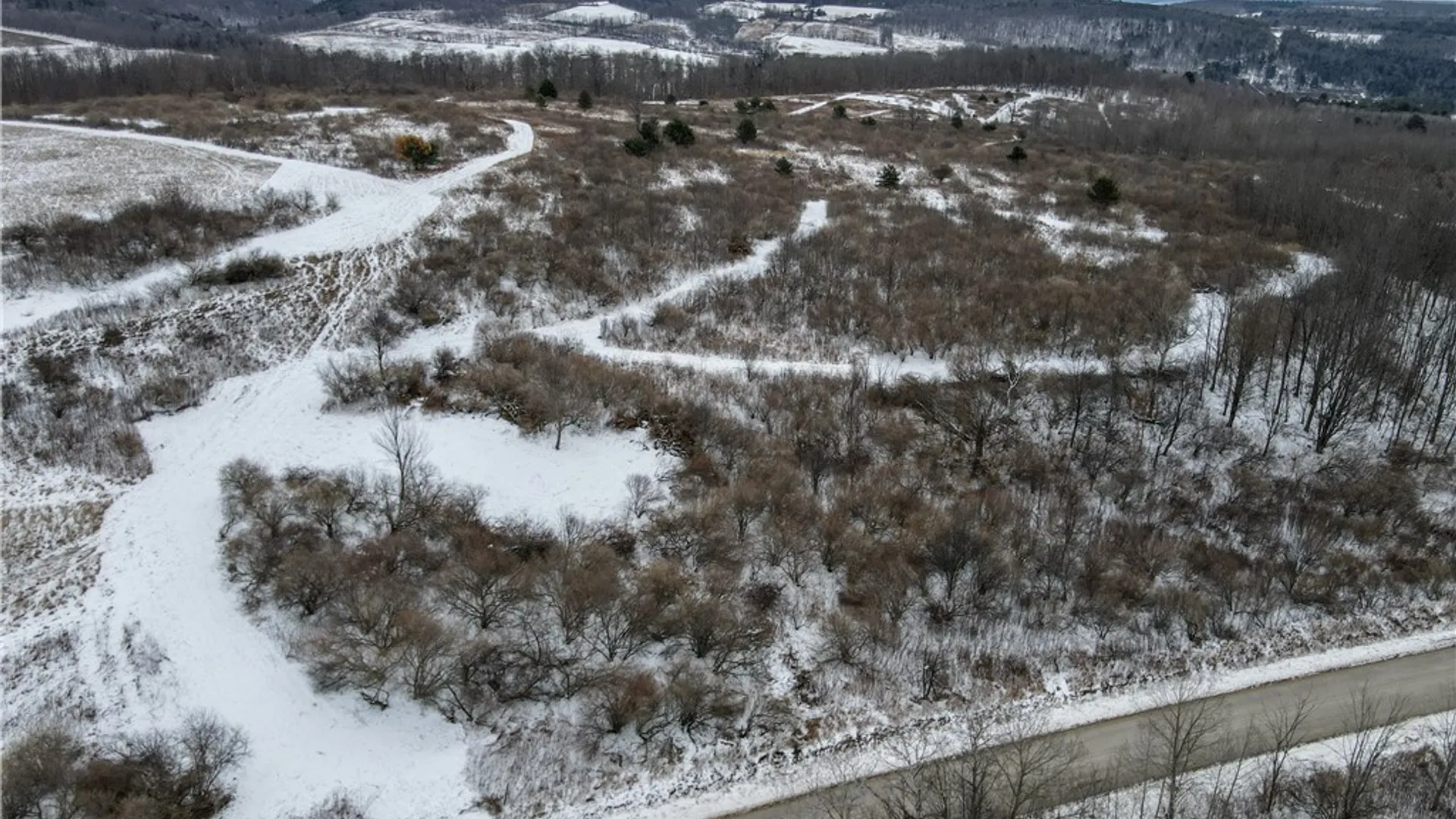 Property at VL Lot 03 Williams Road, Rathbone, NY 14801 6
