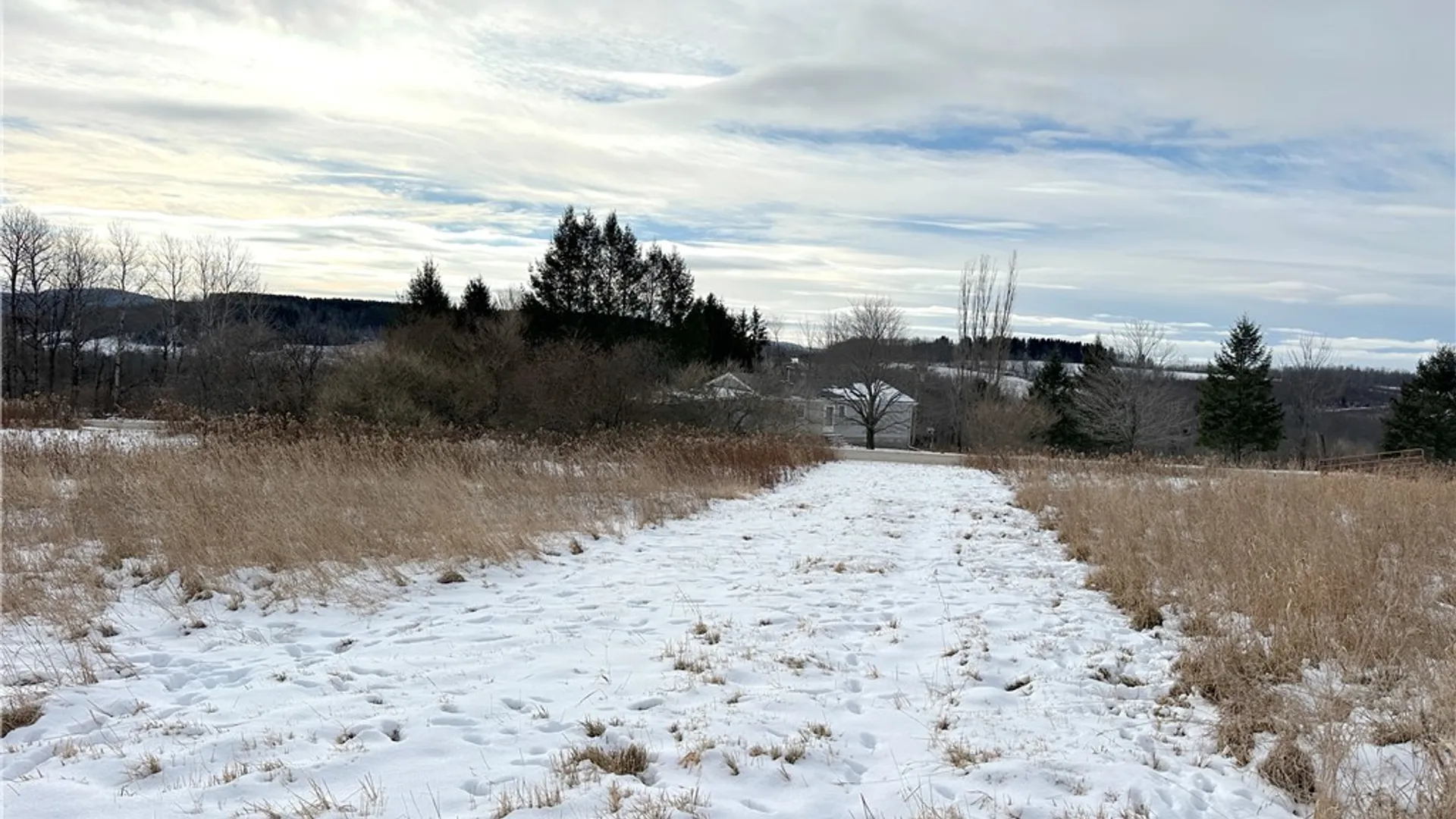 Property at VL Lot 03 Williams Road, Rathbone, NY 14801 7