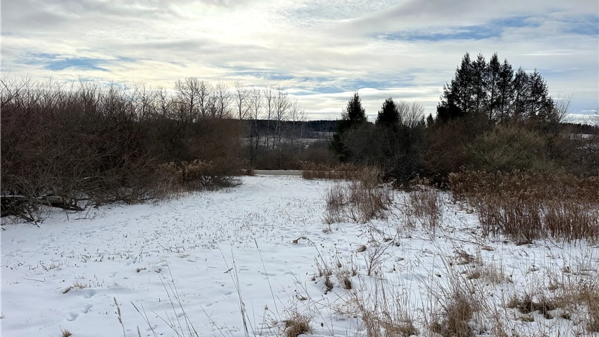 Property at VL Lot 03 Williams Road, Rathbone, NY 14801 8