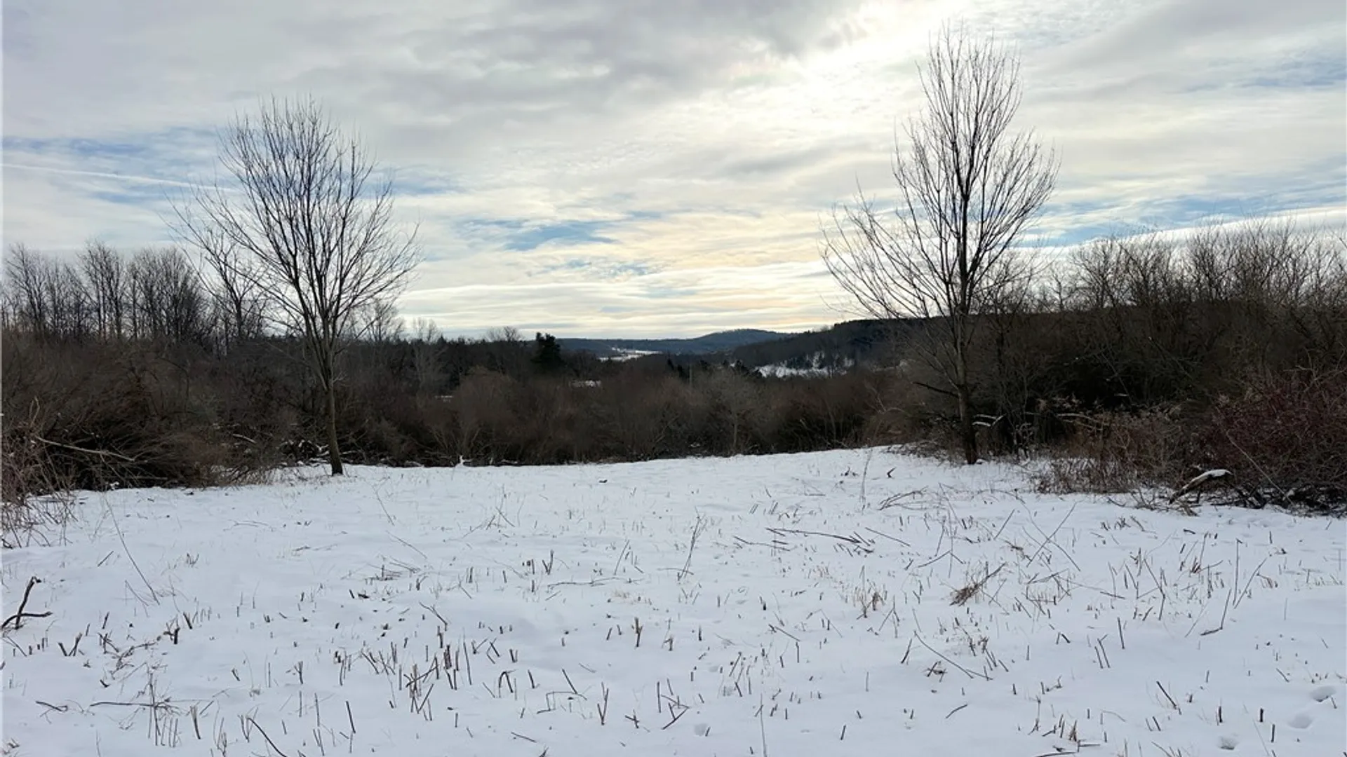 Property at VL Lot 03 Williams Road, Rathbone, NY 14801 9