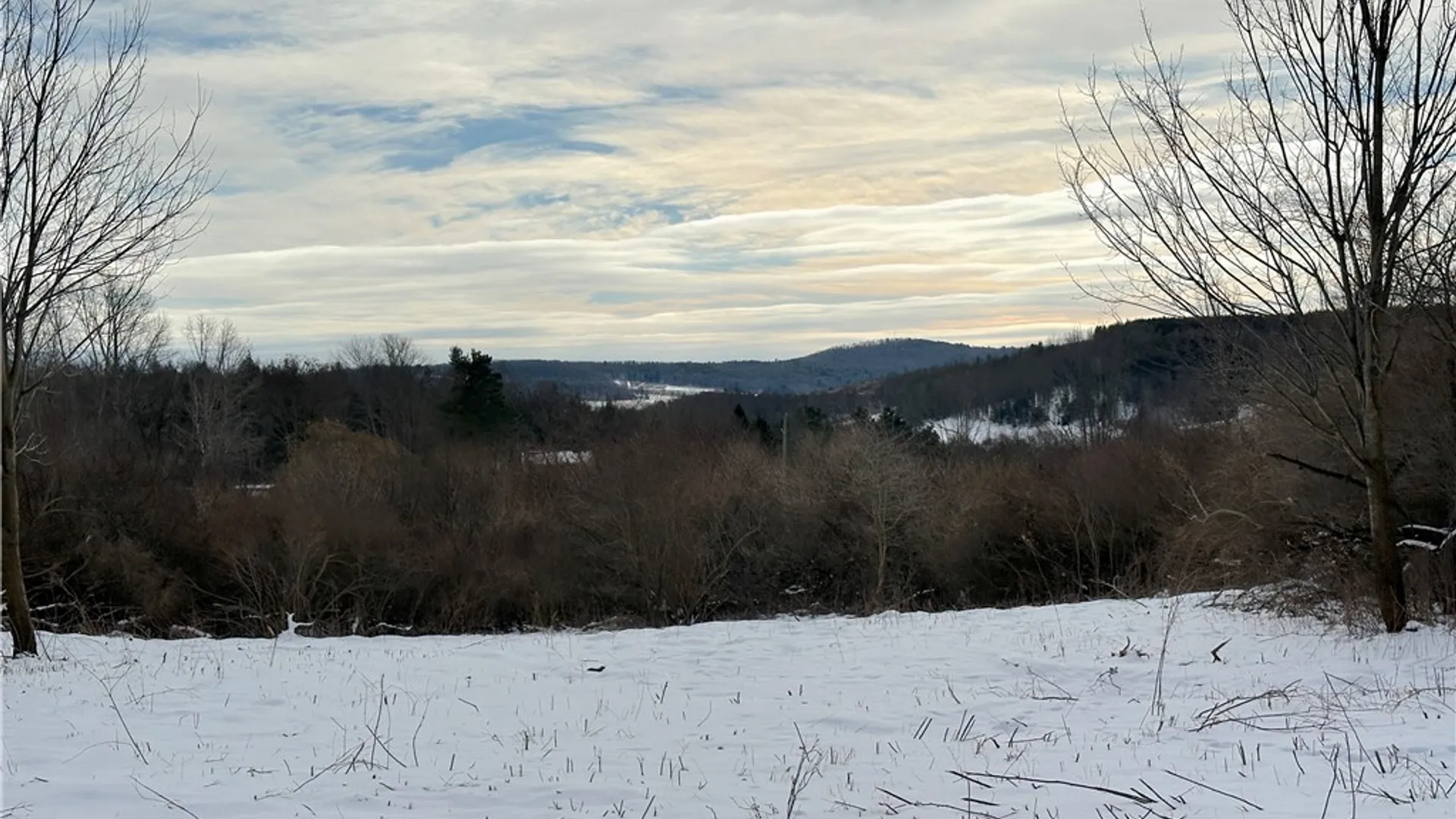 Property at VL Lot 03 Williams Road, Rathbone, NY 14801 10