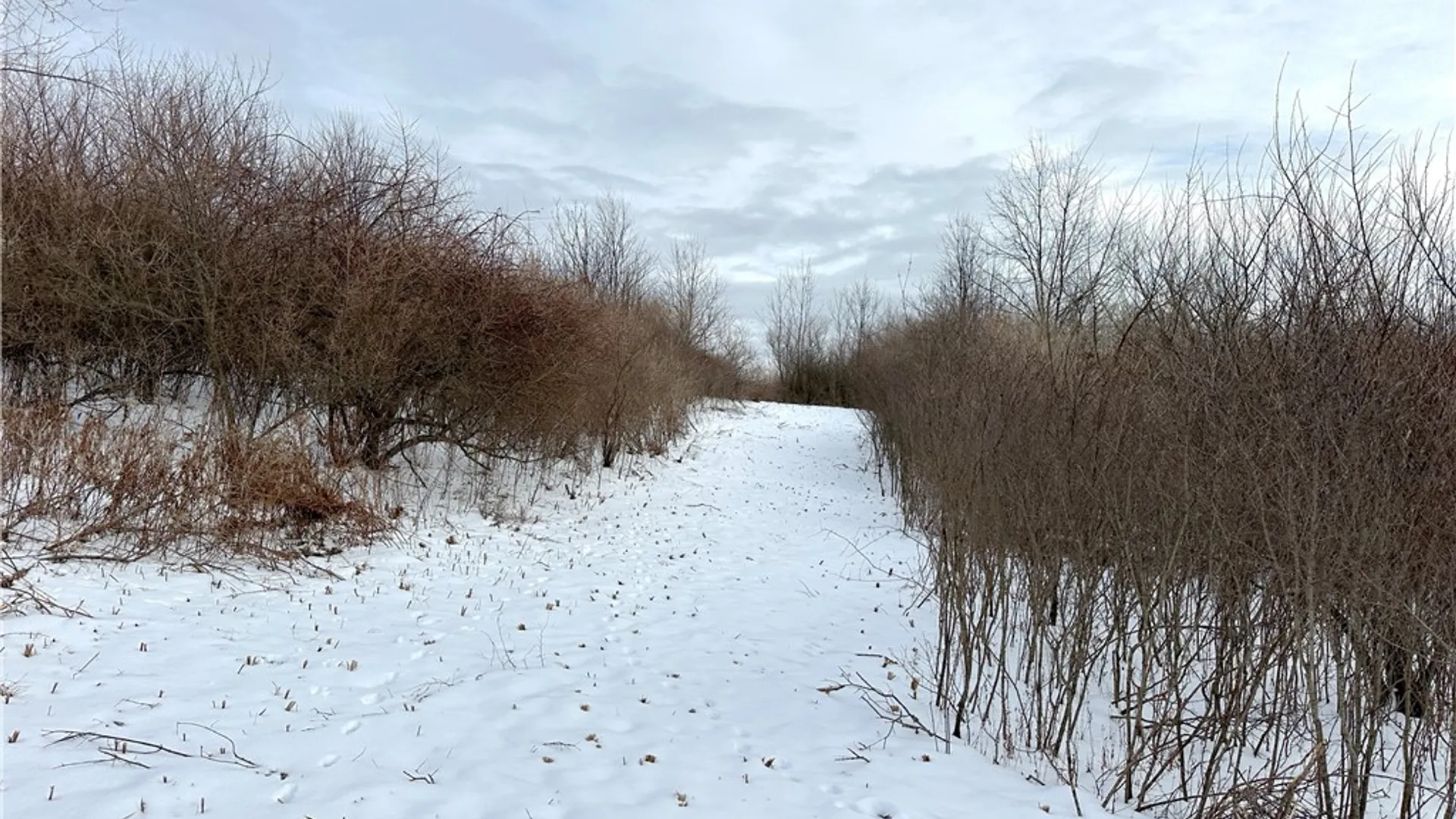 Property at VL Lot 03 Williams Road, Rathbone, NY 14801 12