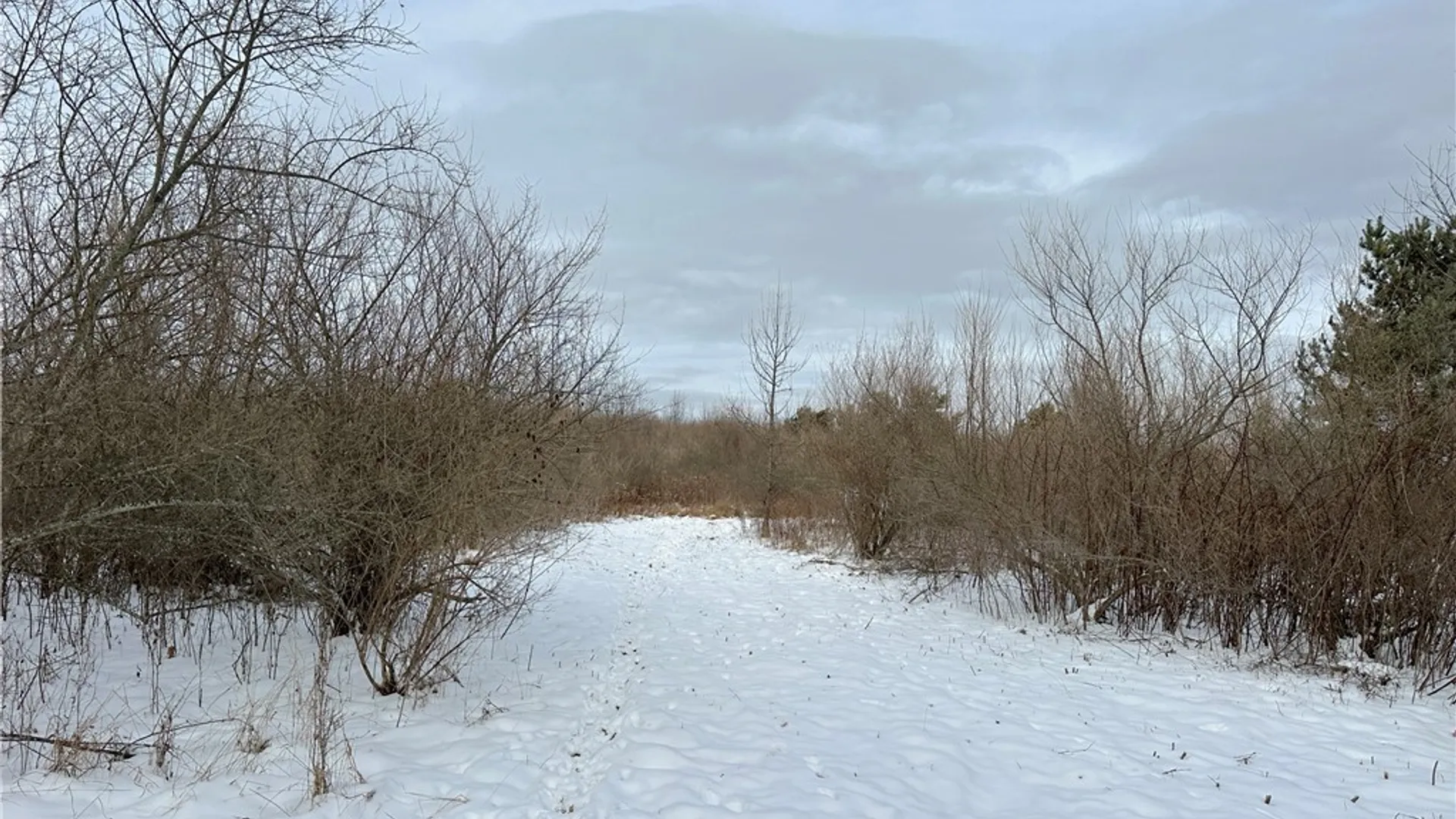 Property at VL Lot 03 Williams Road, Rathbone, NY 14801 13
