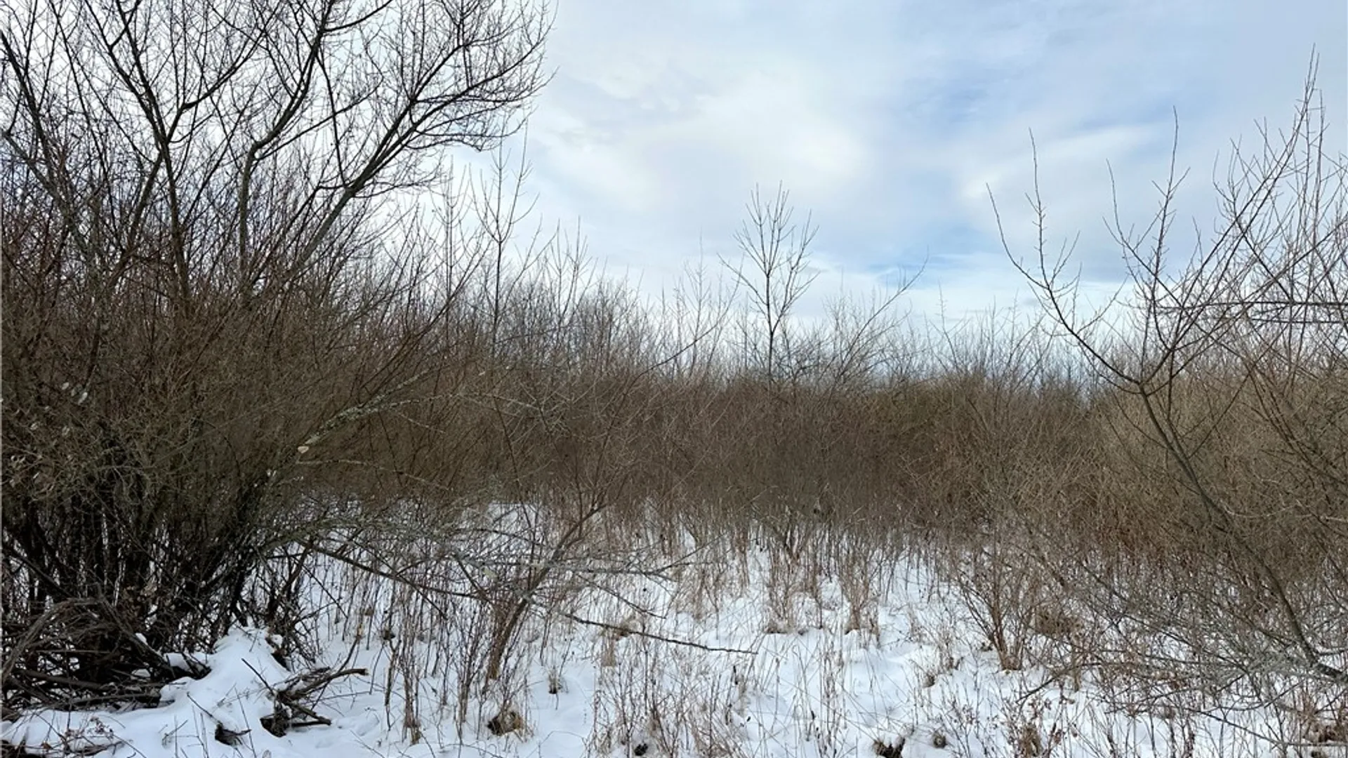 Property at VL Lot 03 Williams Road, Rathbone, NY 14801 14