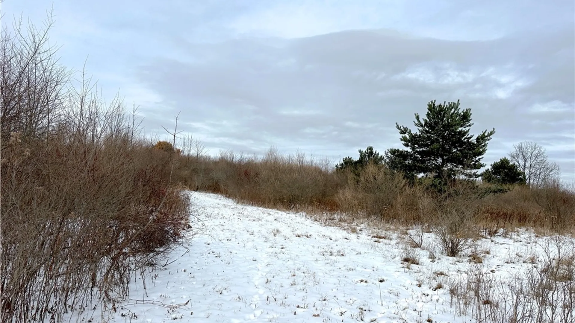 Property at VL Lot 03 Williams Road, Rathbone, NY 14801 16