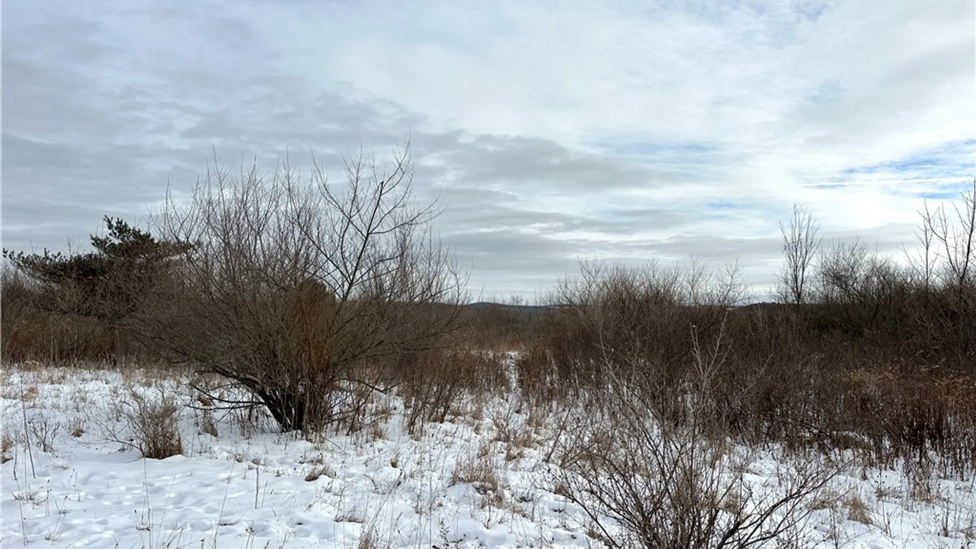 Property at VL Lot 03 Williams Road, Rathbone, NY 14801 18