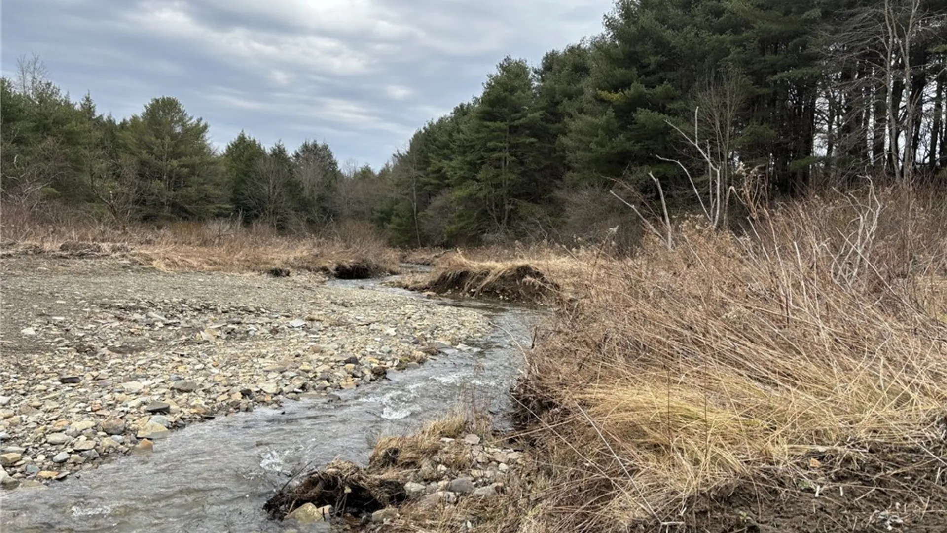 Property at 172 Hawks Road, Pittsfield, NY 13411 44