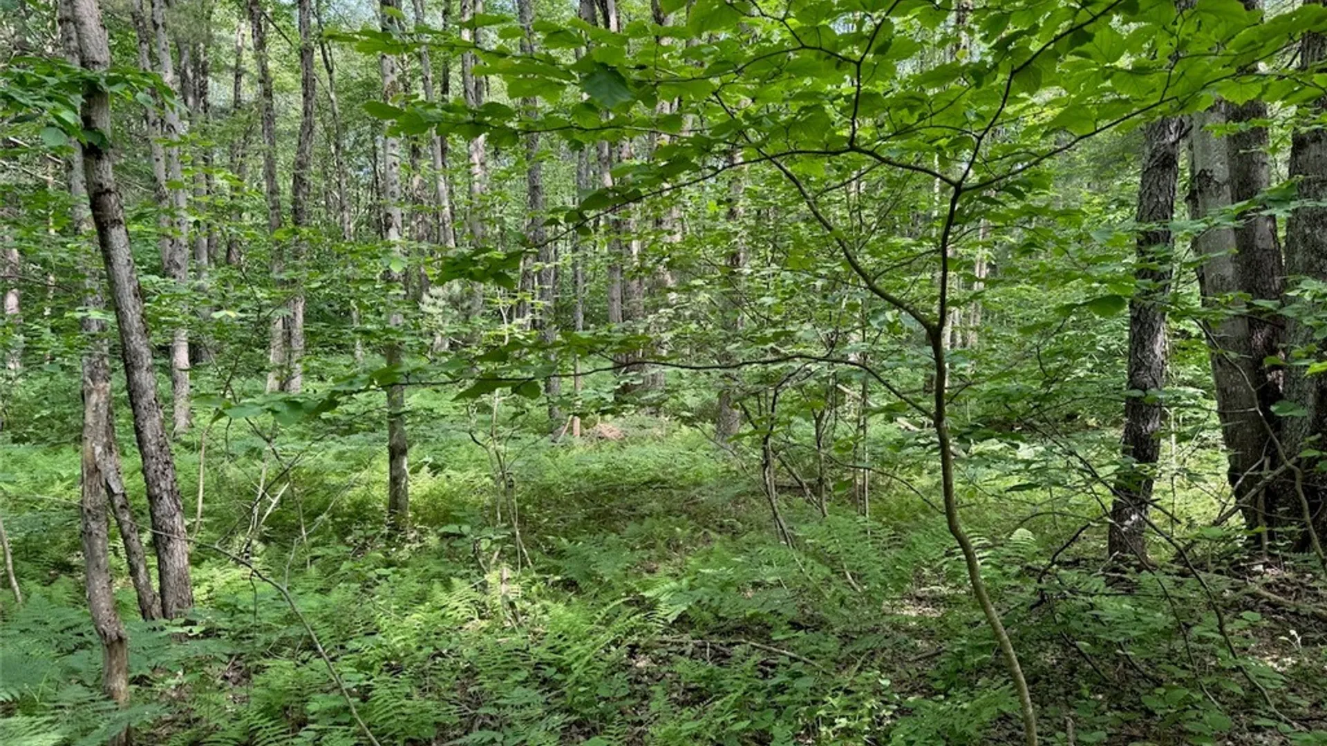 Property at 206 Durgee Road, Orwell, NY 13302 4