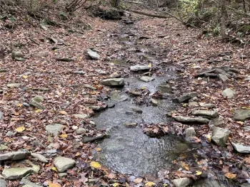 Property at 0 Parker Road, Campbell, NY 14821