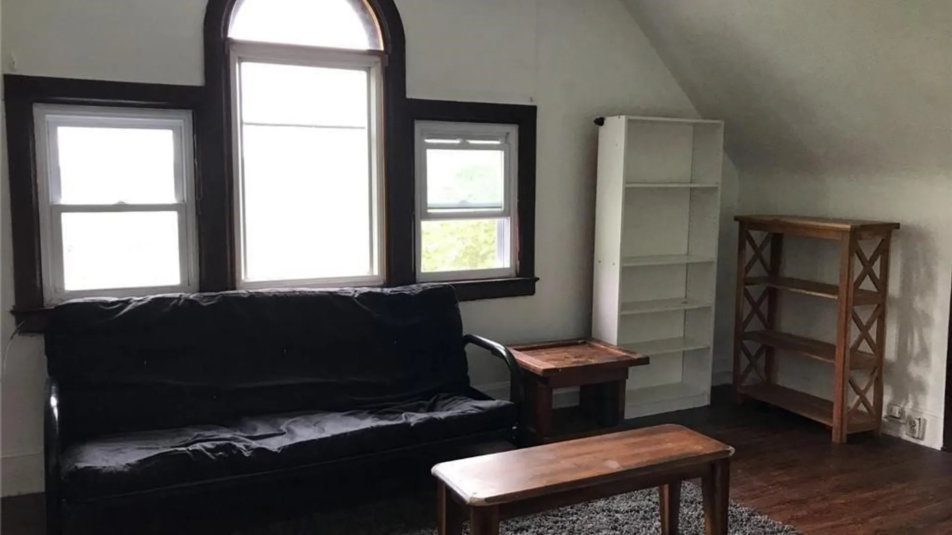Property at 316 S Aurora Street, Ithaca City, NY 14850 10