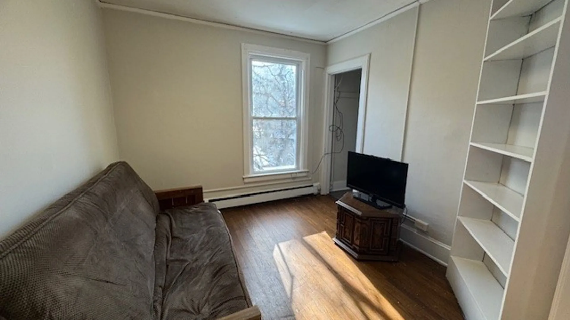 Property at 316 S Aurora Street, Ithaca City, NY 14850 14