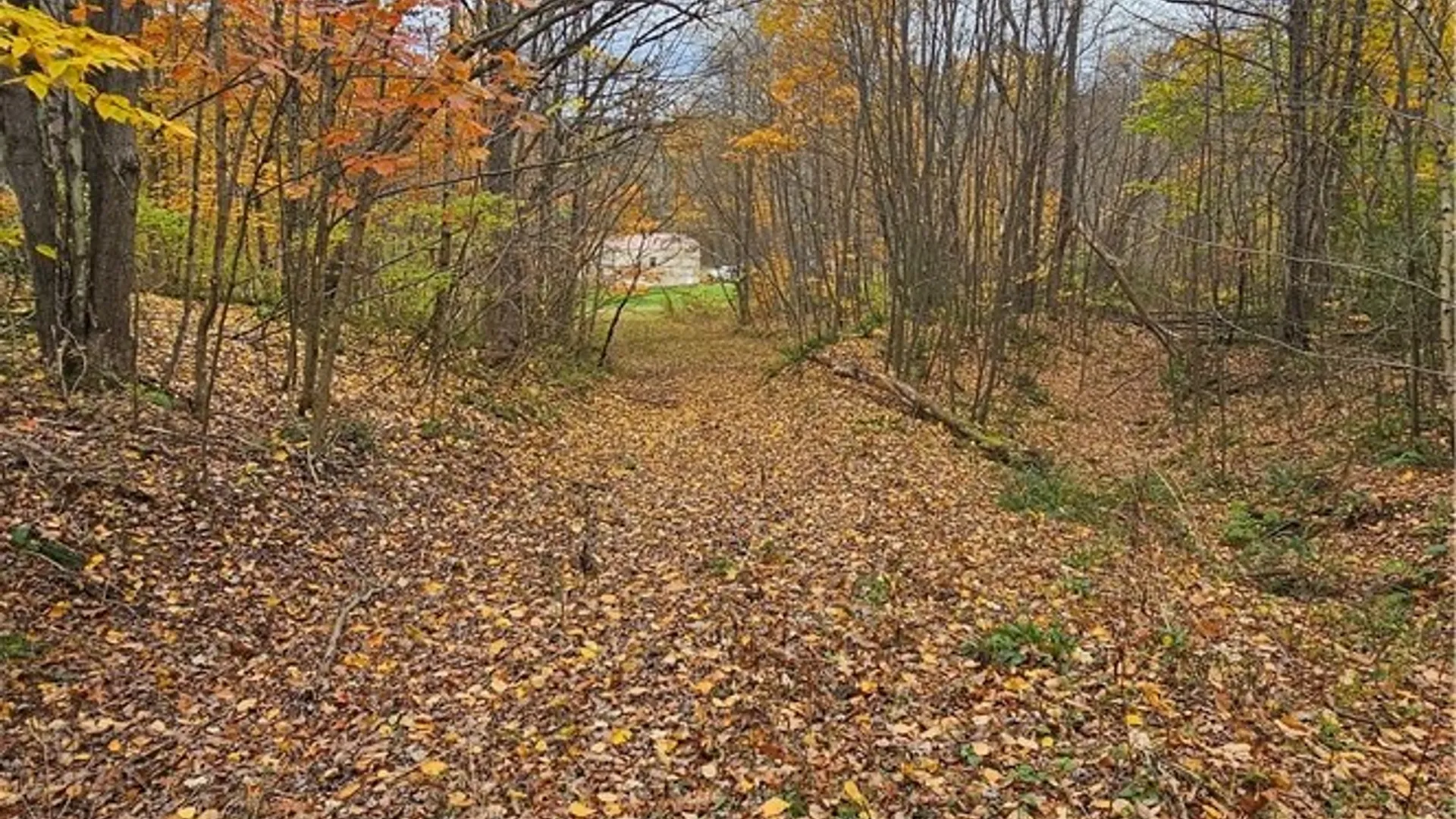 Property at 136 Dubois Lane, Oxford, NY 13830 5