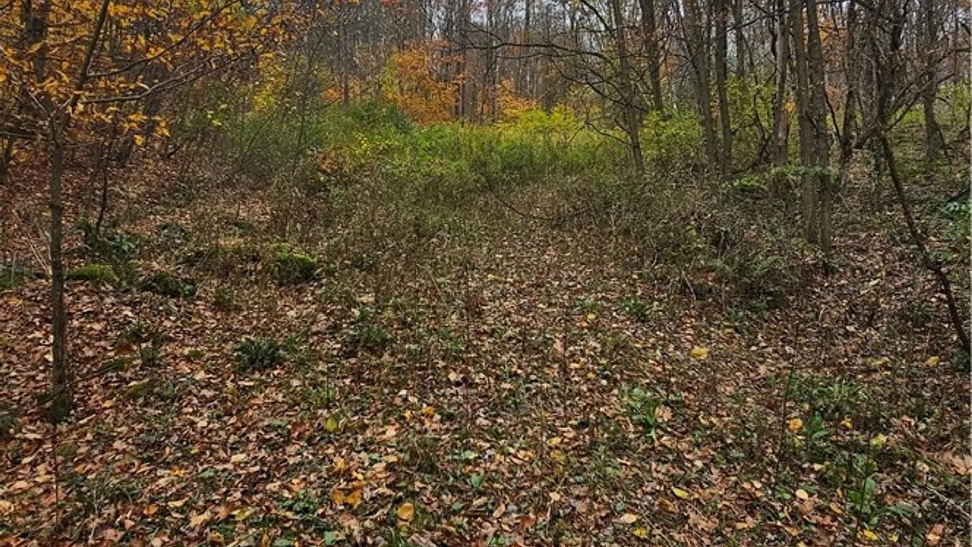 Property at 136 Dubois Lane, Oxford, NY 13830 6
