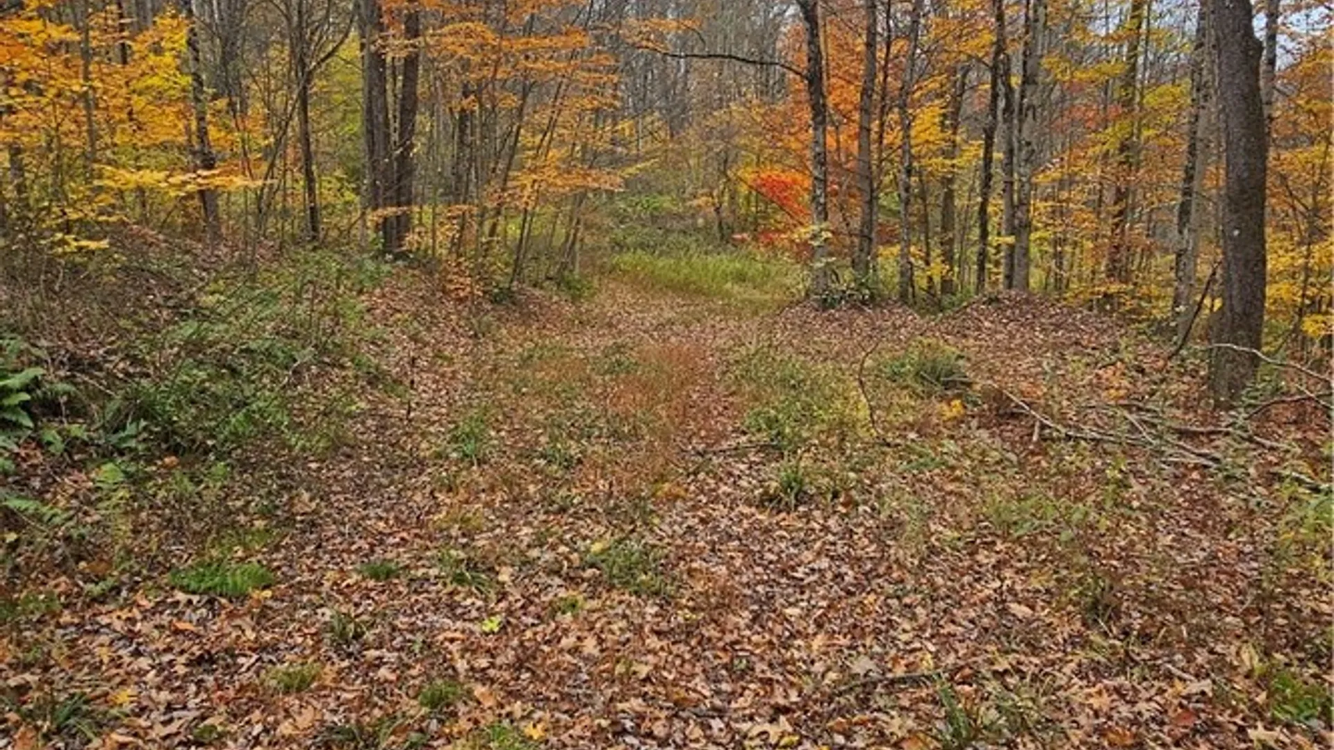 Property at 136 Dubois Lane, Oxford, NY 13830 7